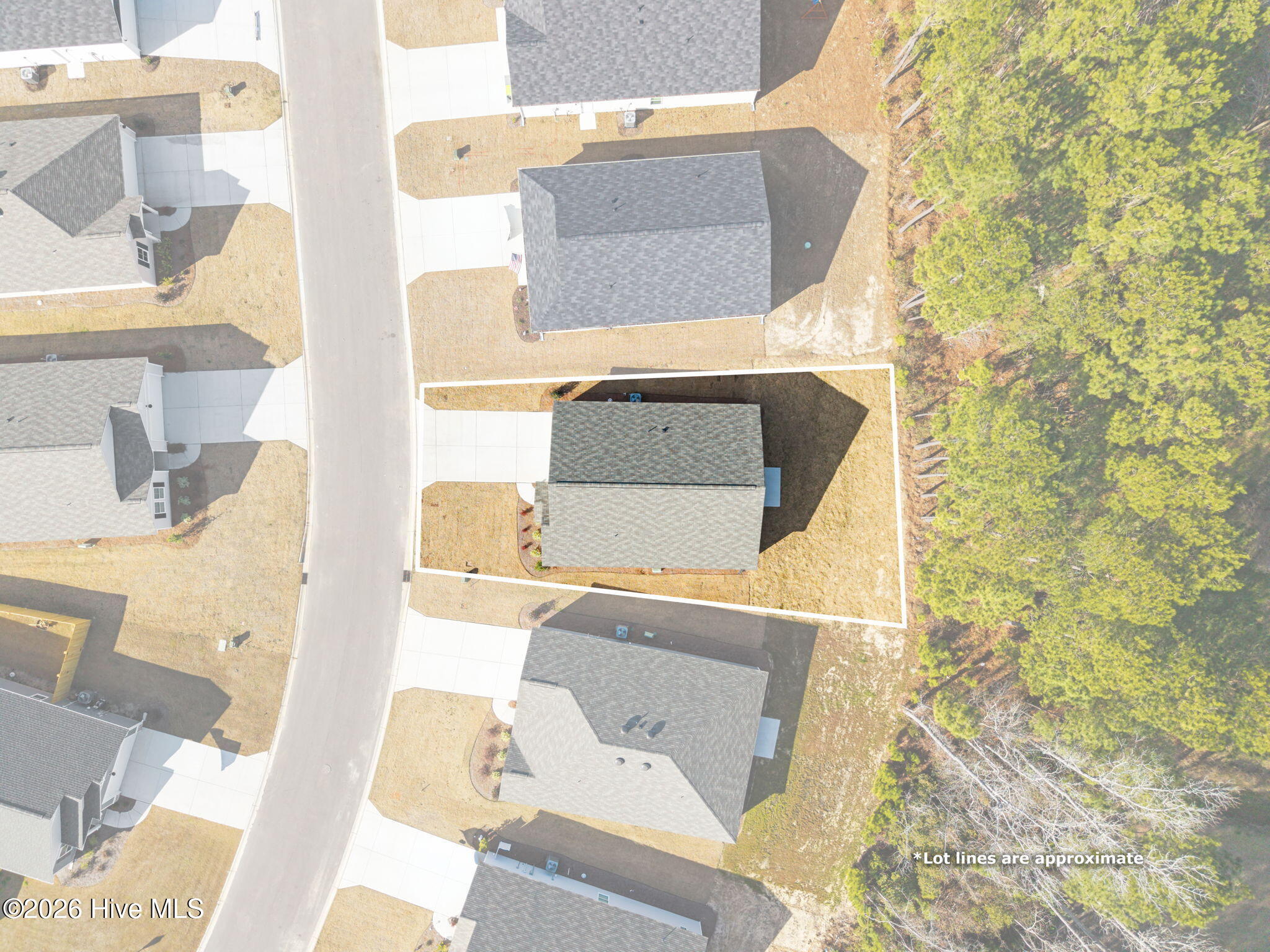 100549751 | Photo 49