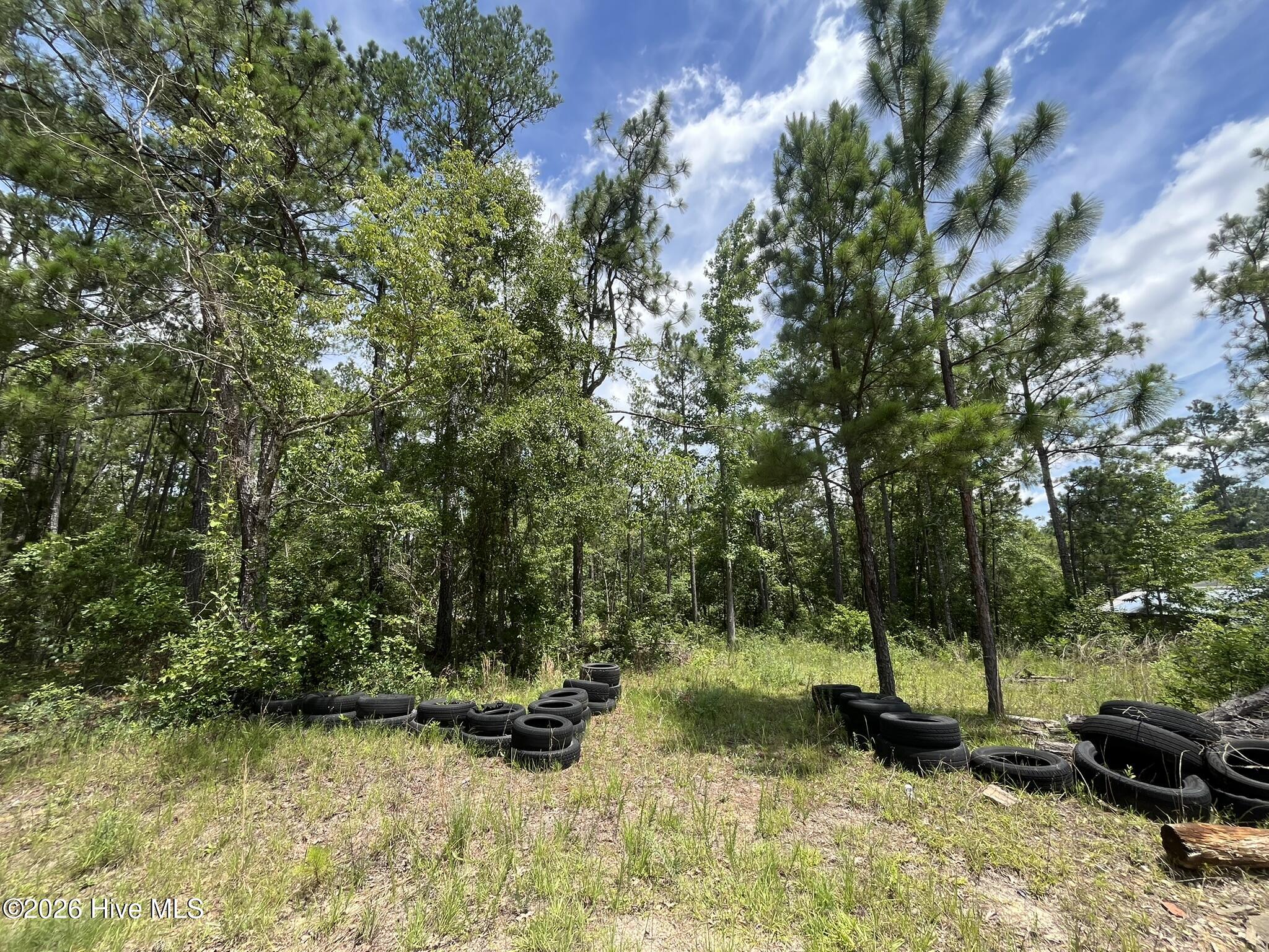 Photo 2 of Land for sale at 160 Charlene Dr, Hephzibah, GA 30815 | MLS# 100605713 | Listing updated on 2026-09-23