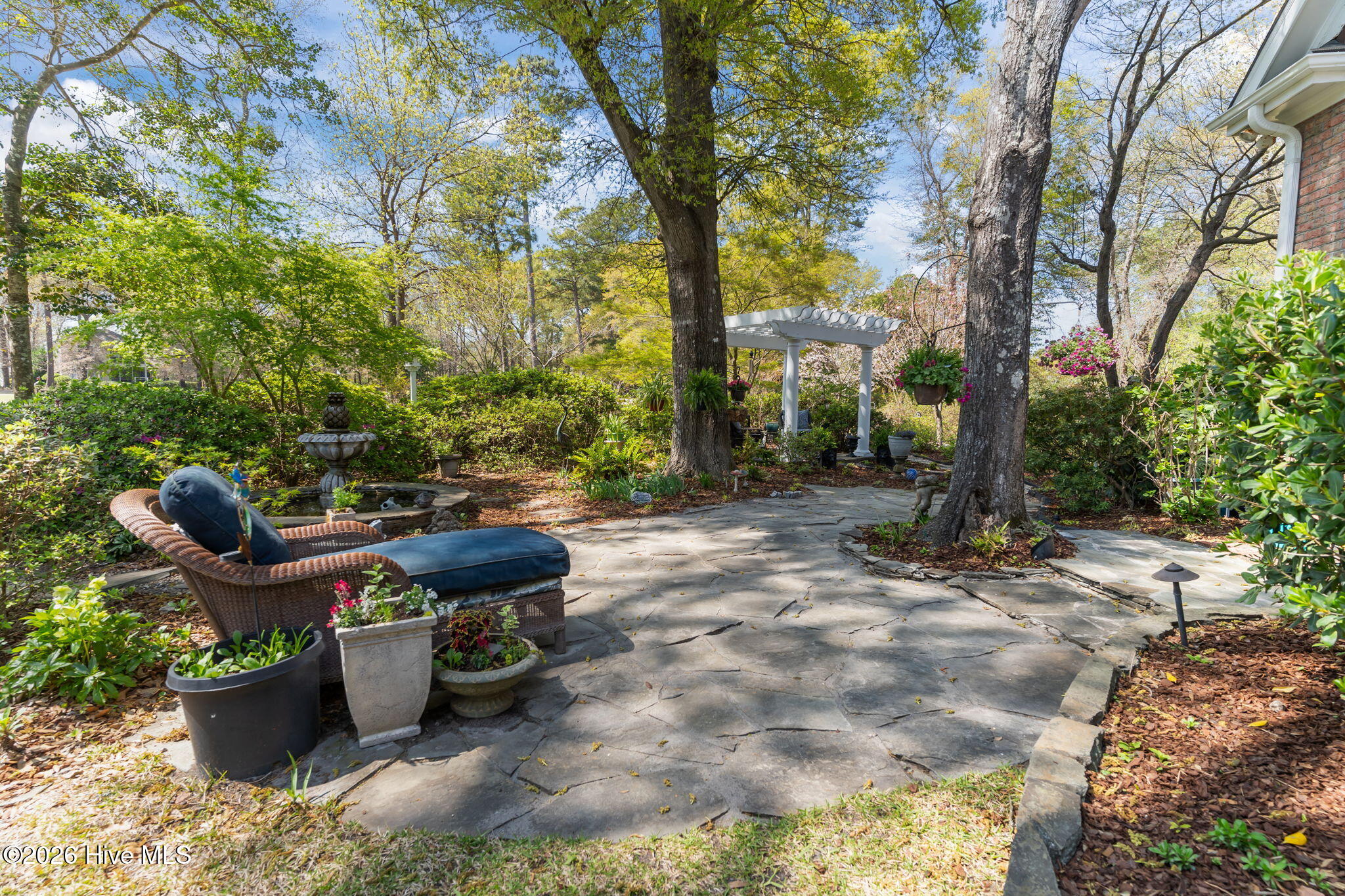 100564418 | Photo 45