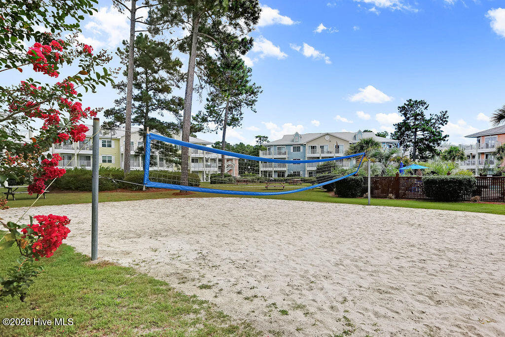 100567236 | Photo 13