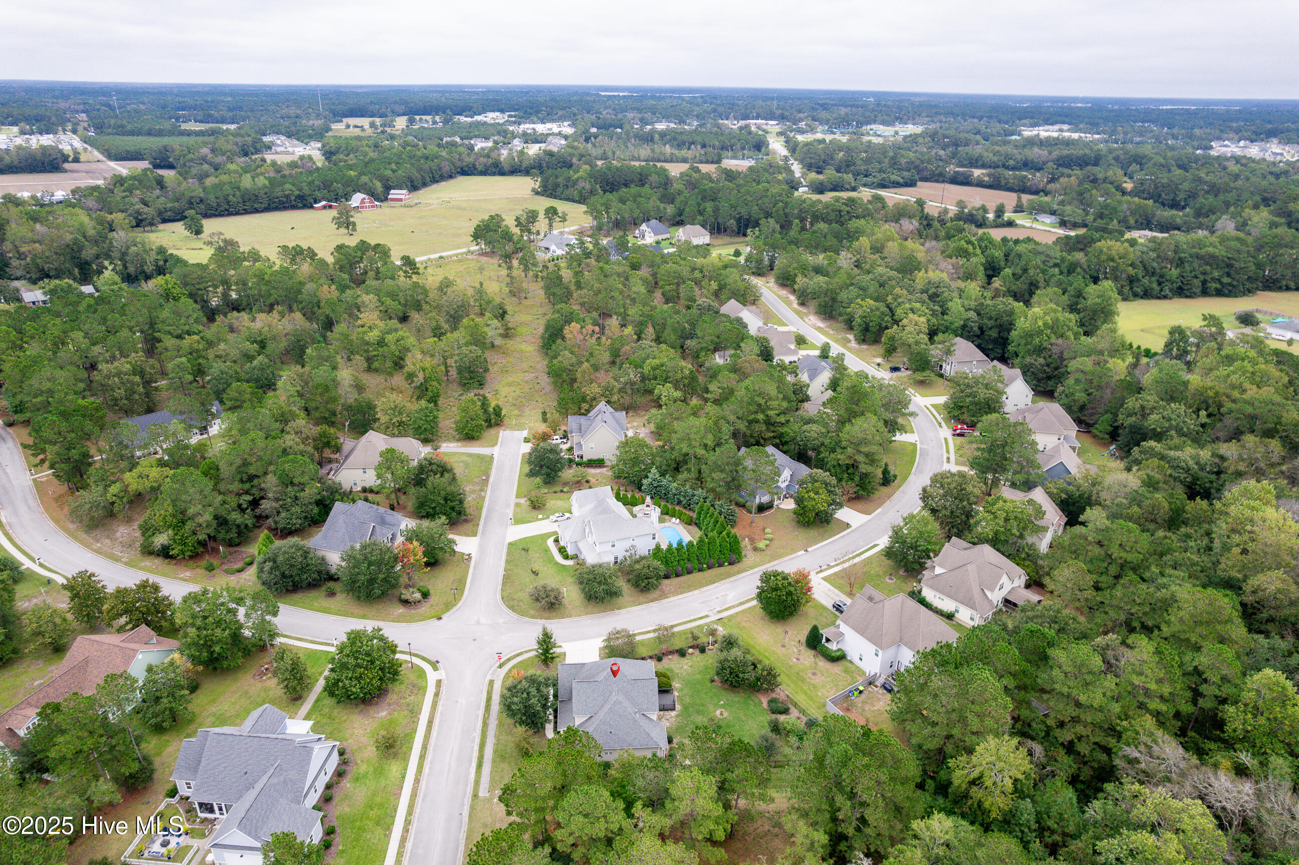 100534677 | Photo 60