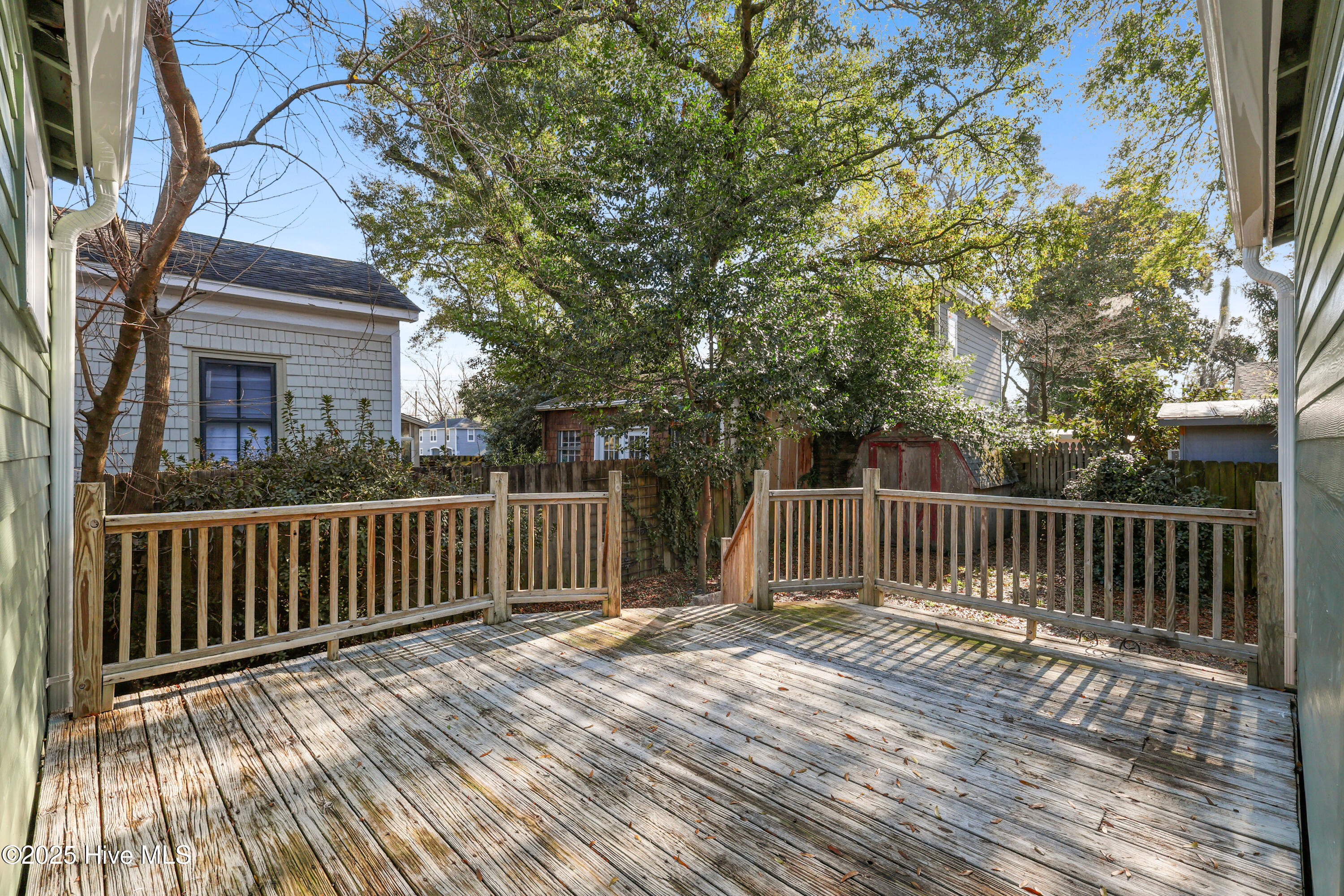 100528129 | Photo 59