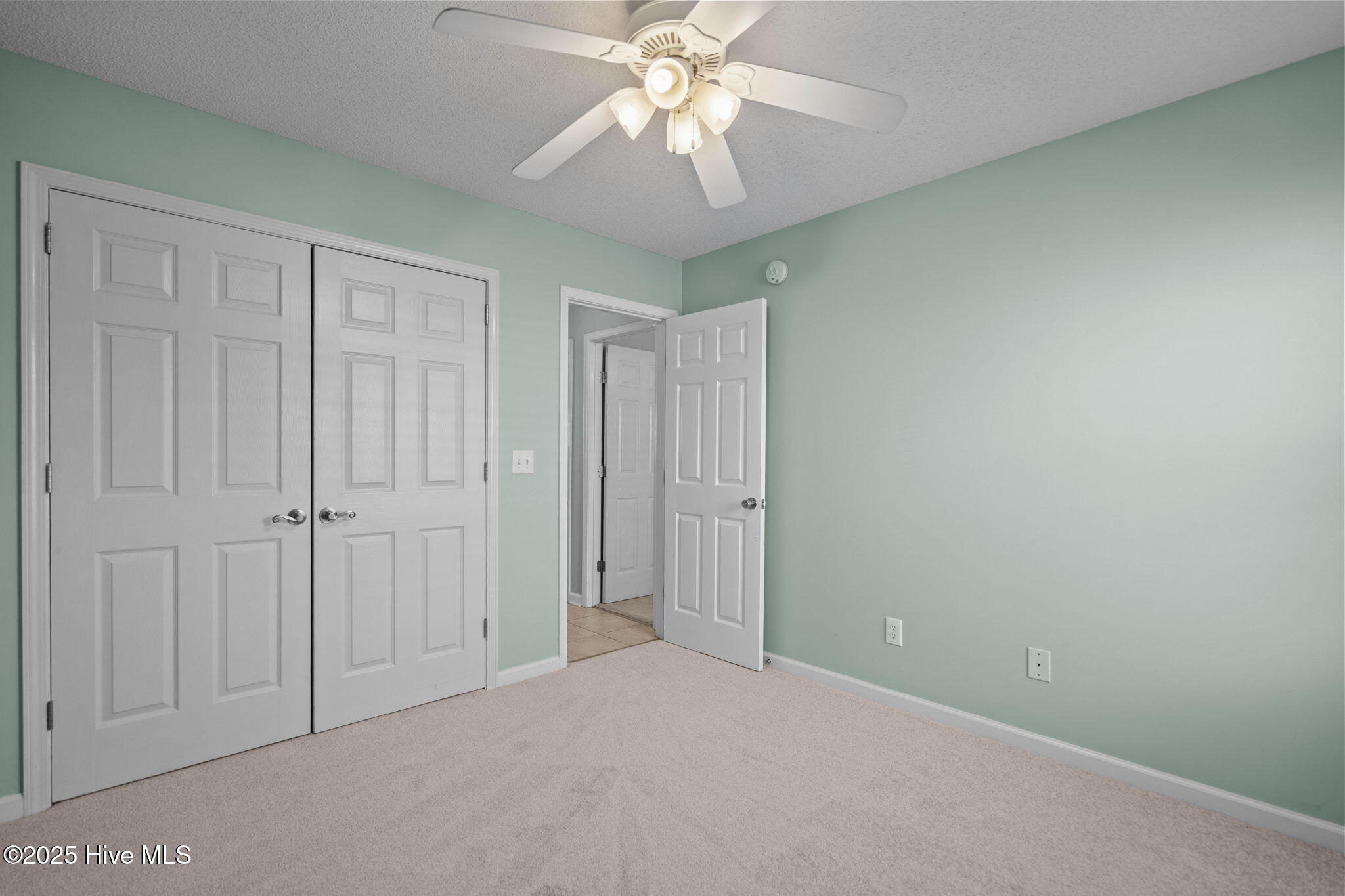 100537991 | Photo 25