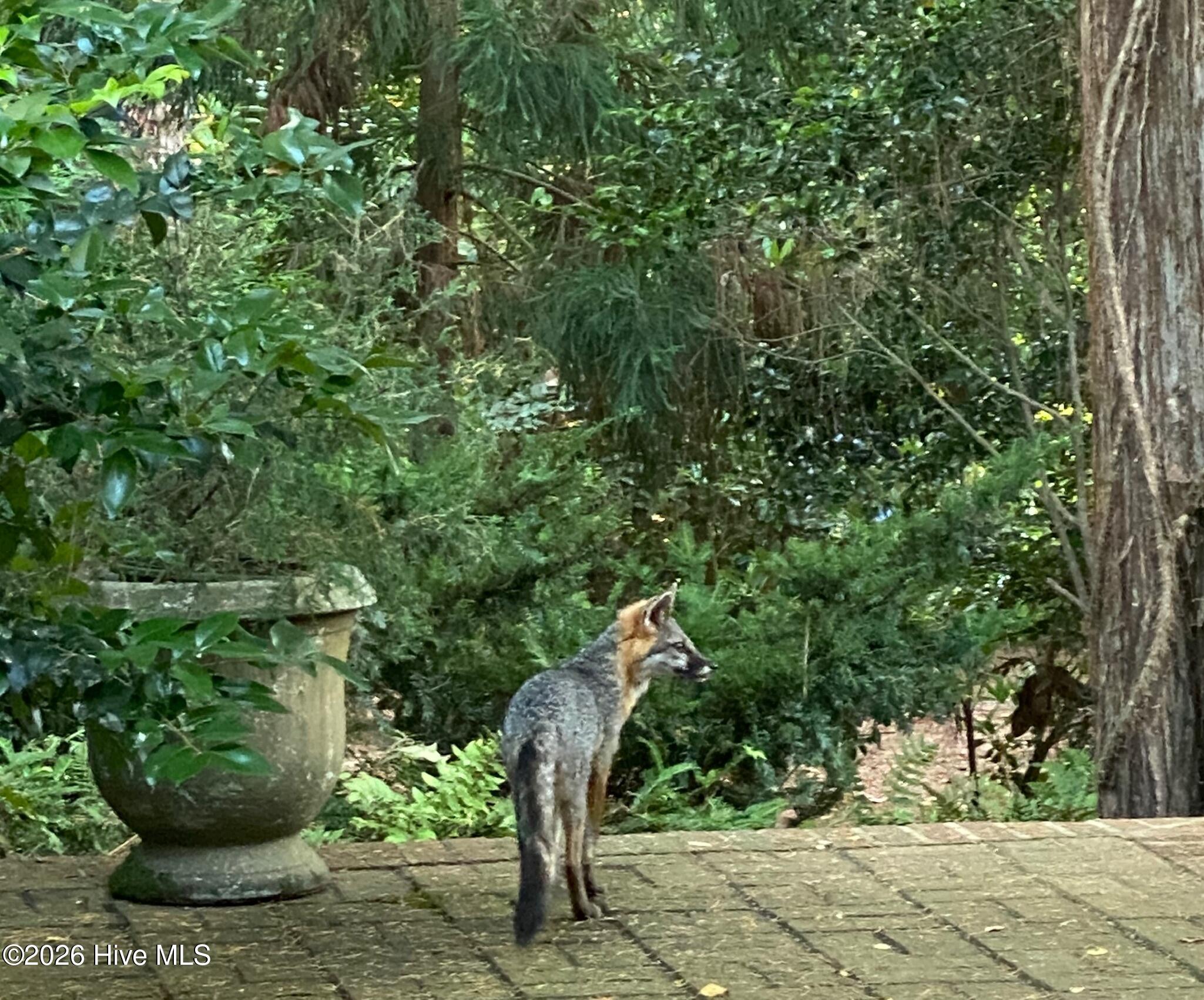 4 Augusta Way, Pinehurst, NC, 28374