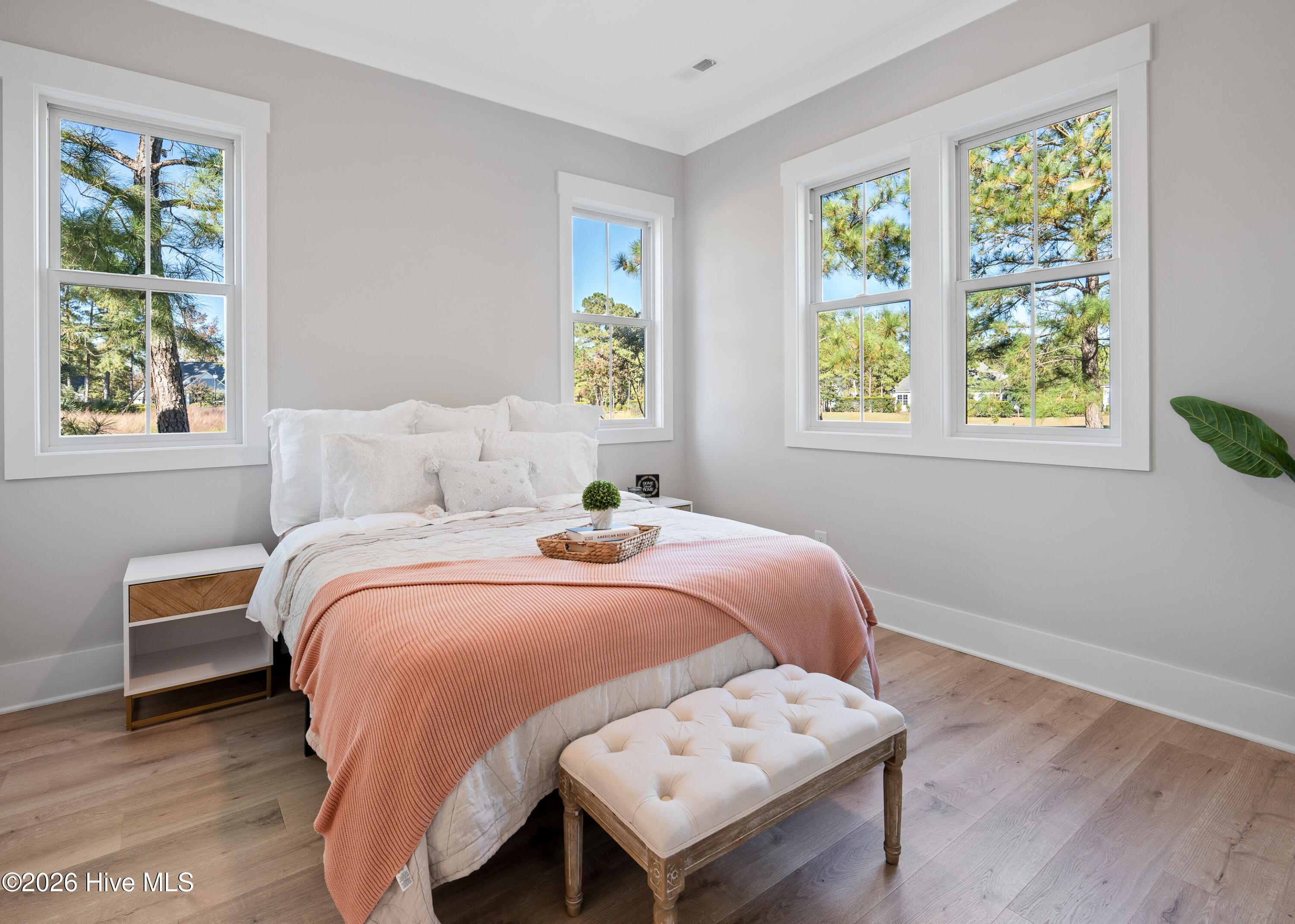 100558184 | Photo 20