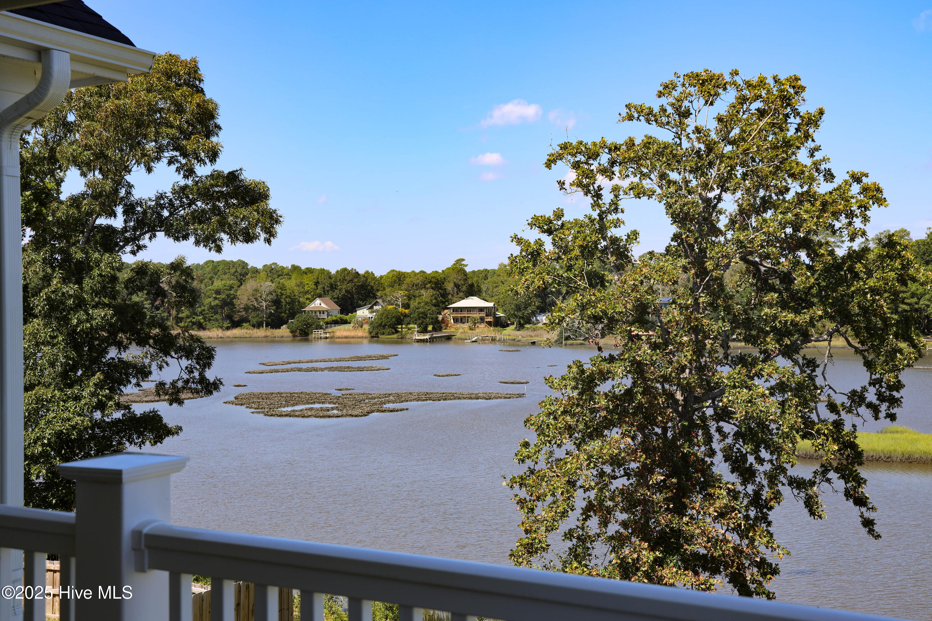 100539536 | Photo 49