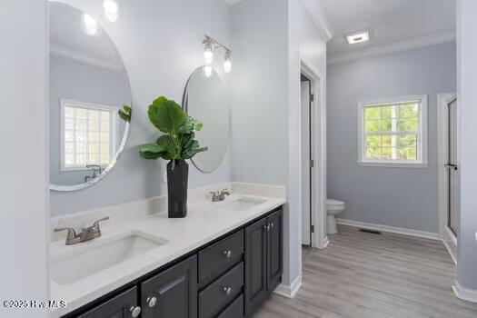 100512300 | Photo 16