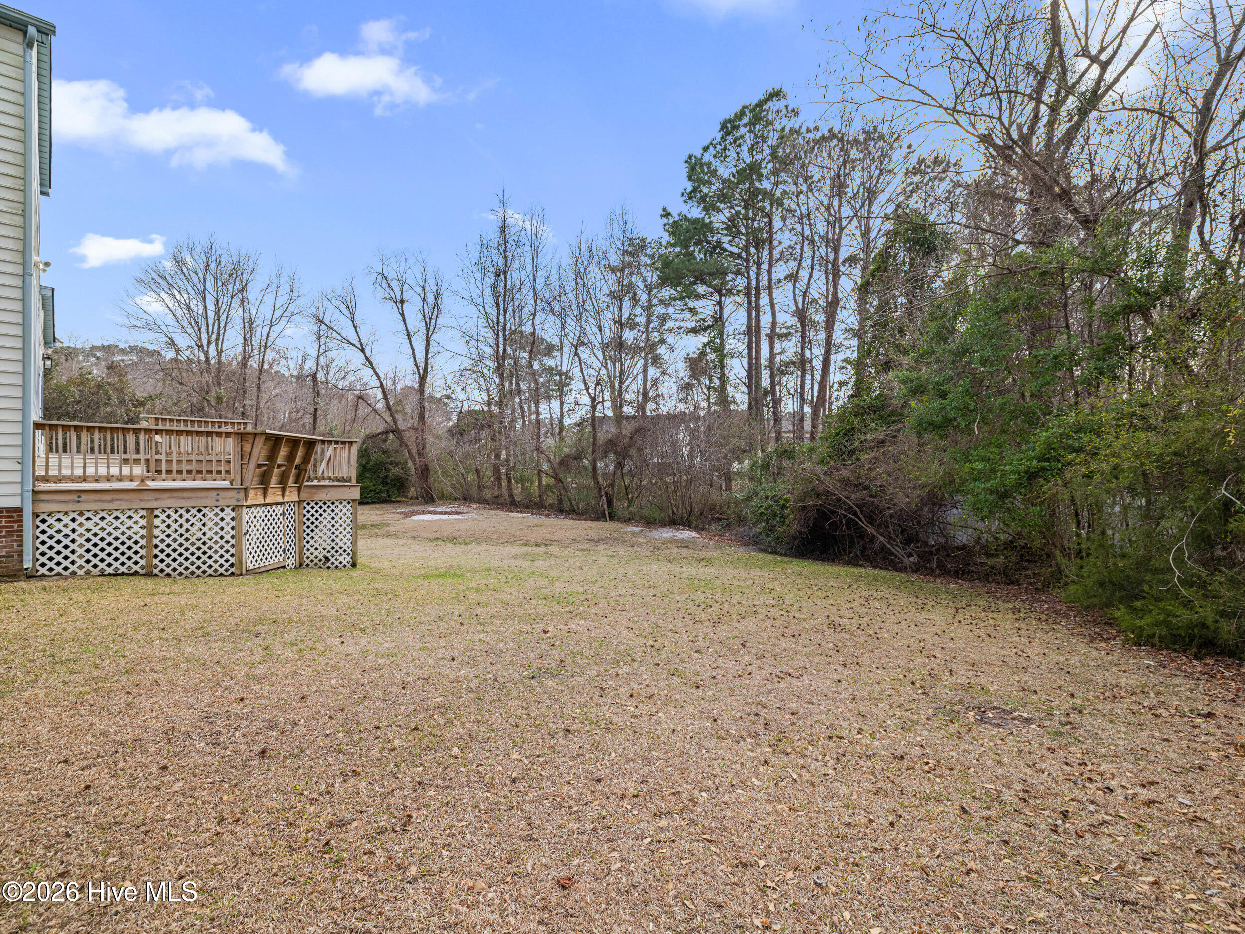 100555942 | Photo 63