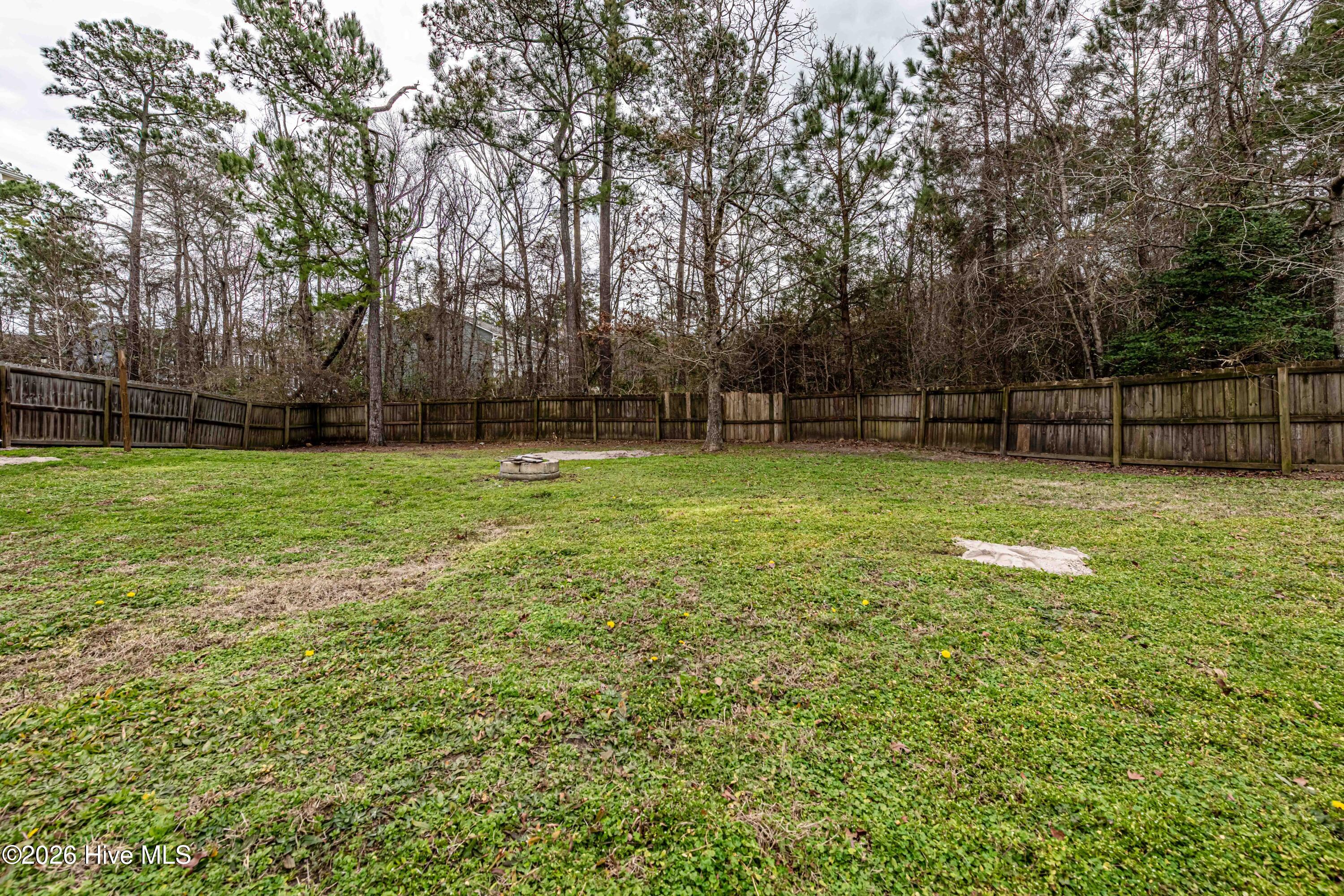 100557262 | Photo 44