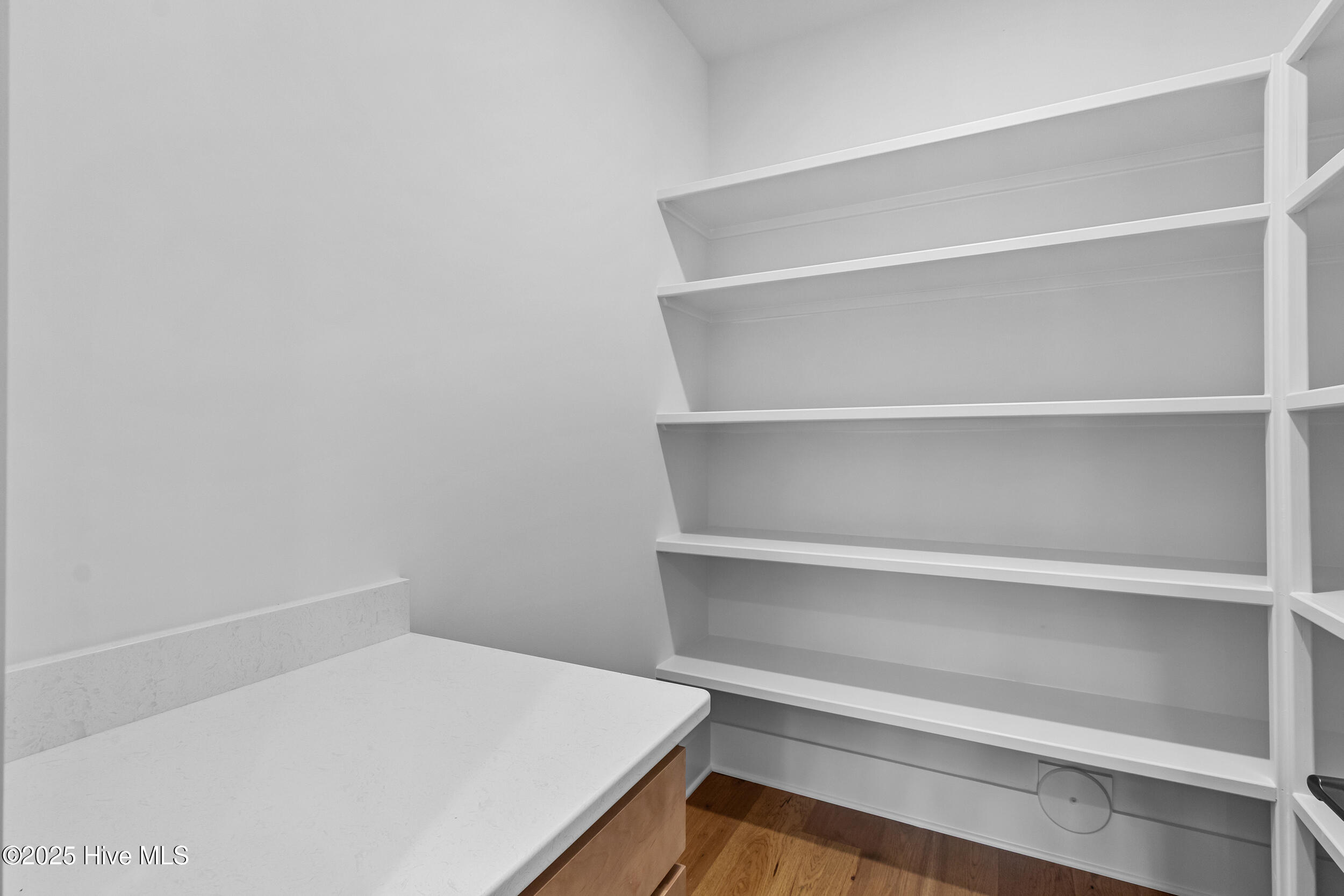Pantry with shelves