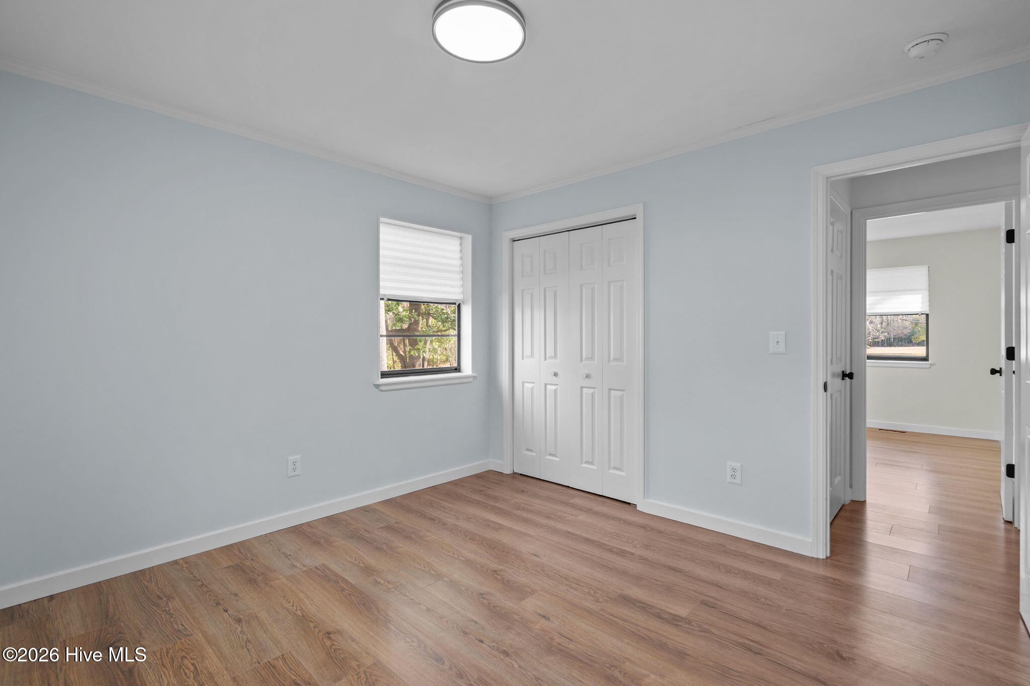 100541666 | Photo 57