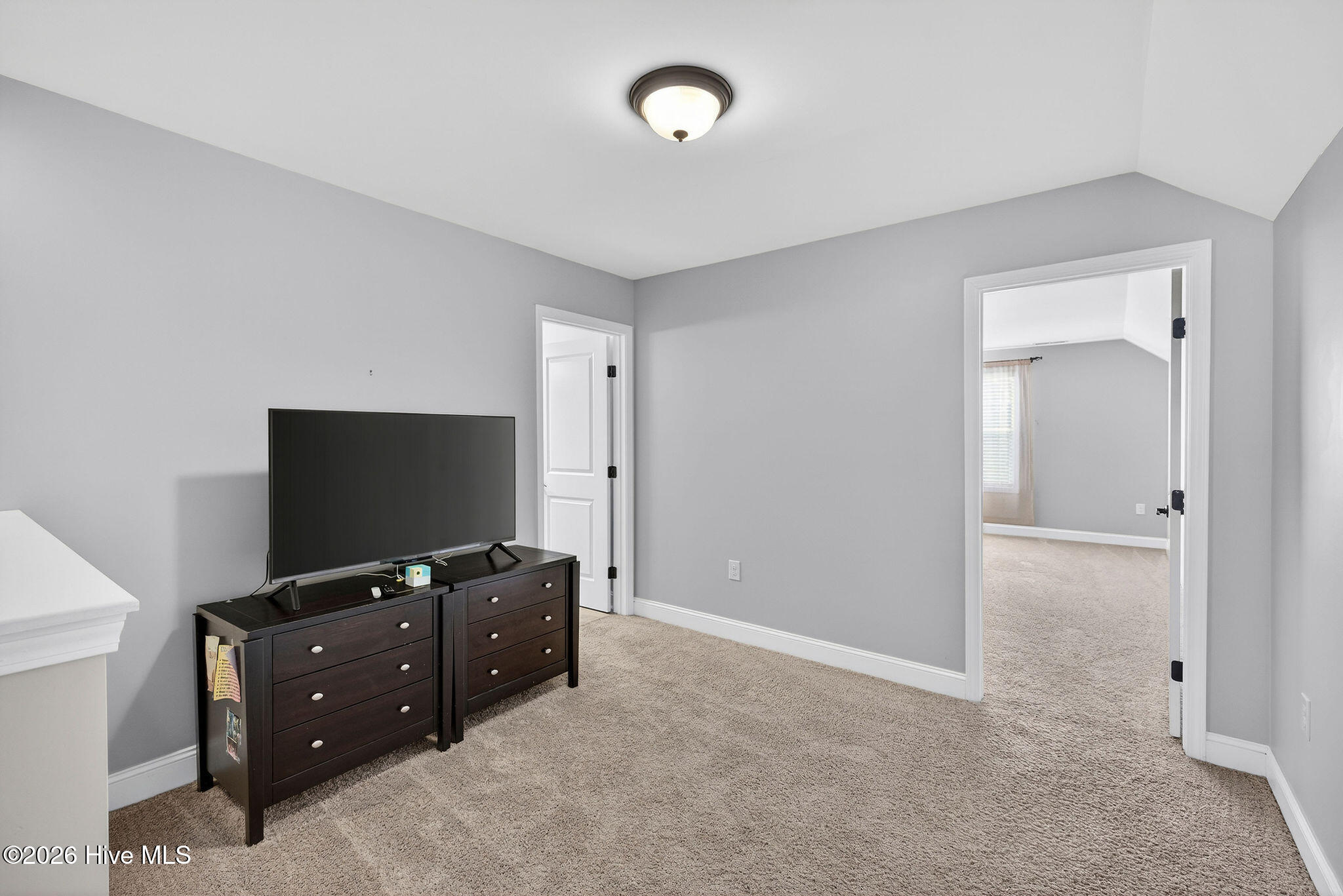 100547189 | Photo 40