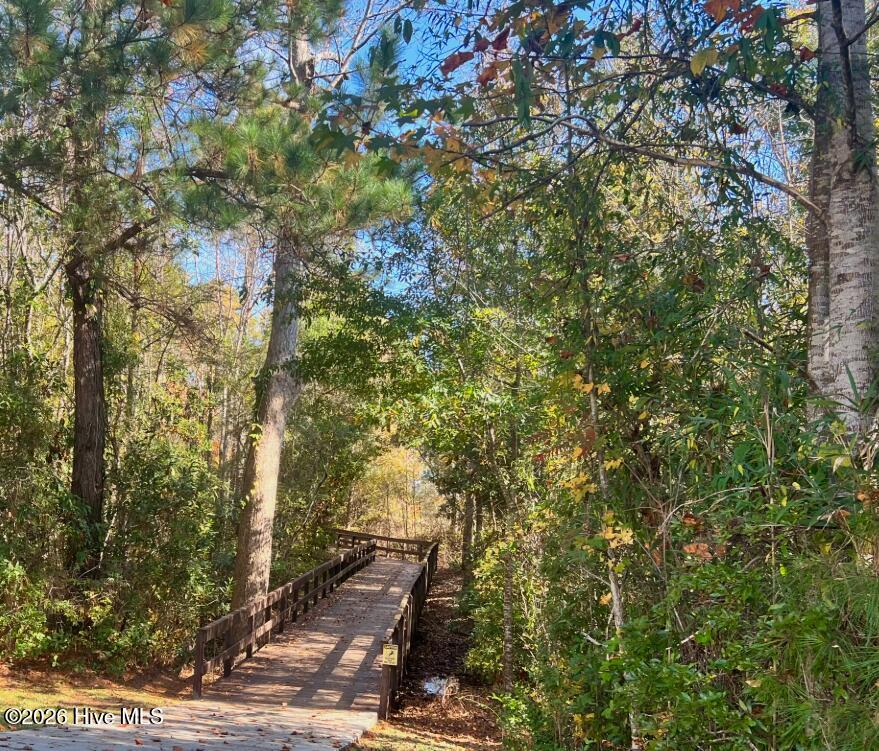 100555417 | Photo 72