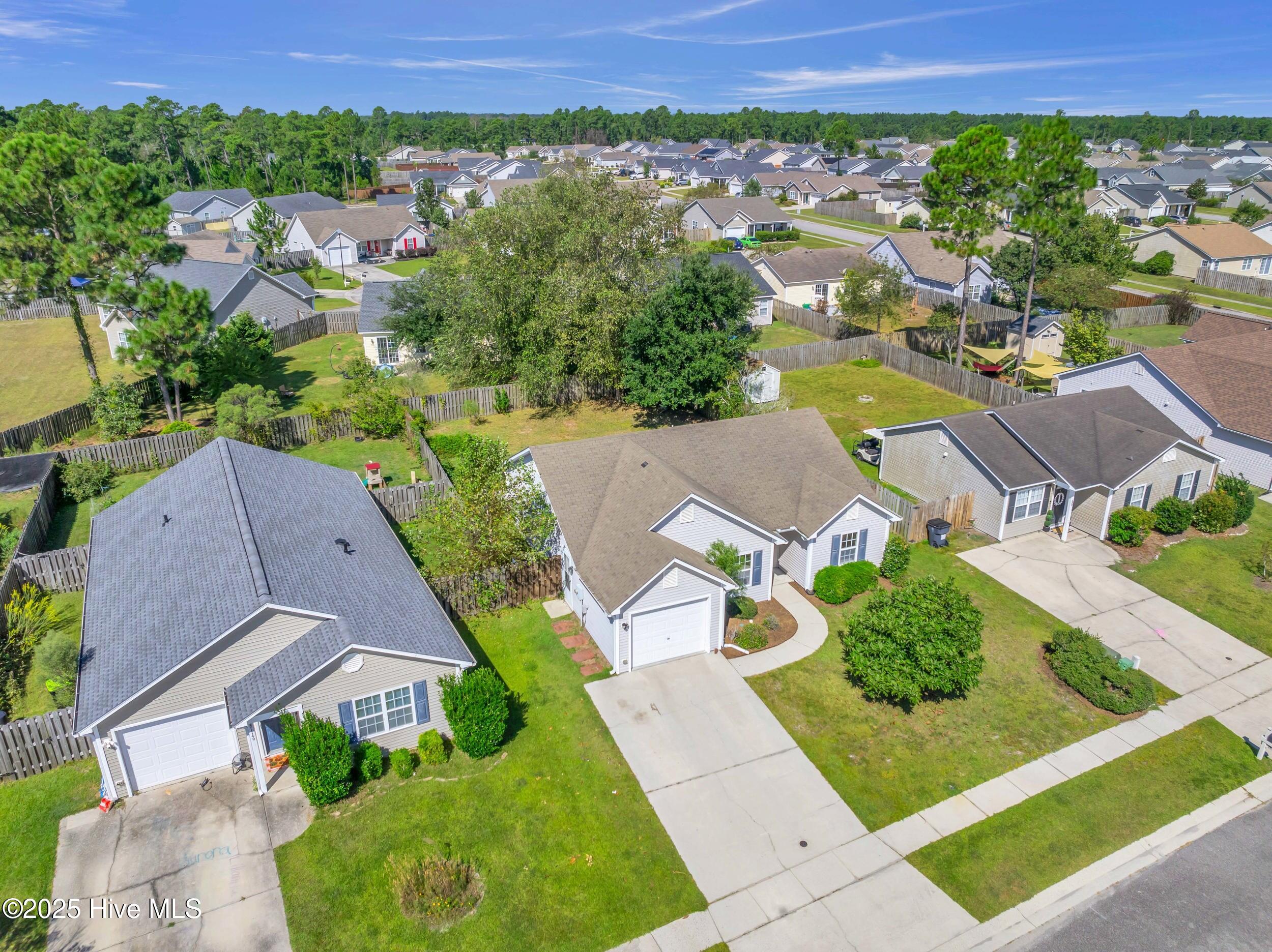 100531255 | Photo 46