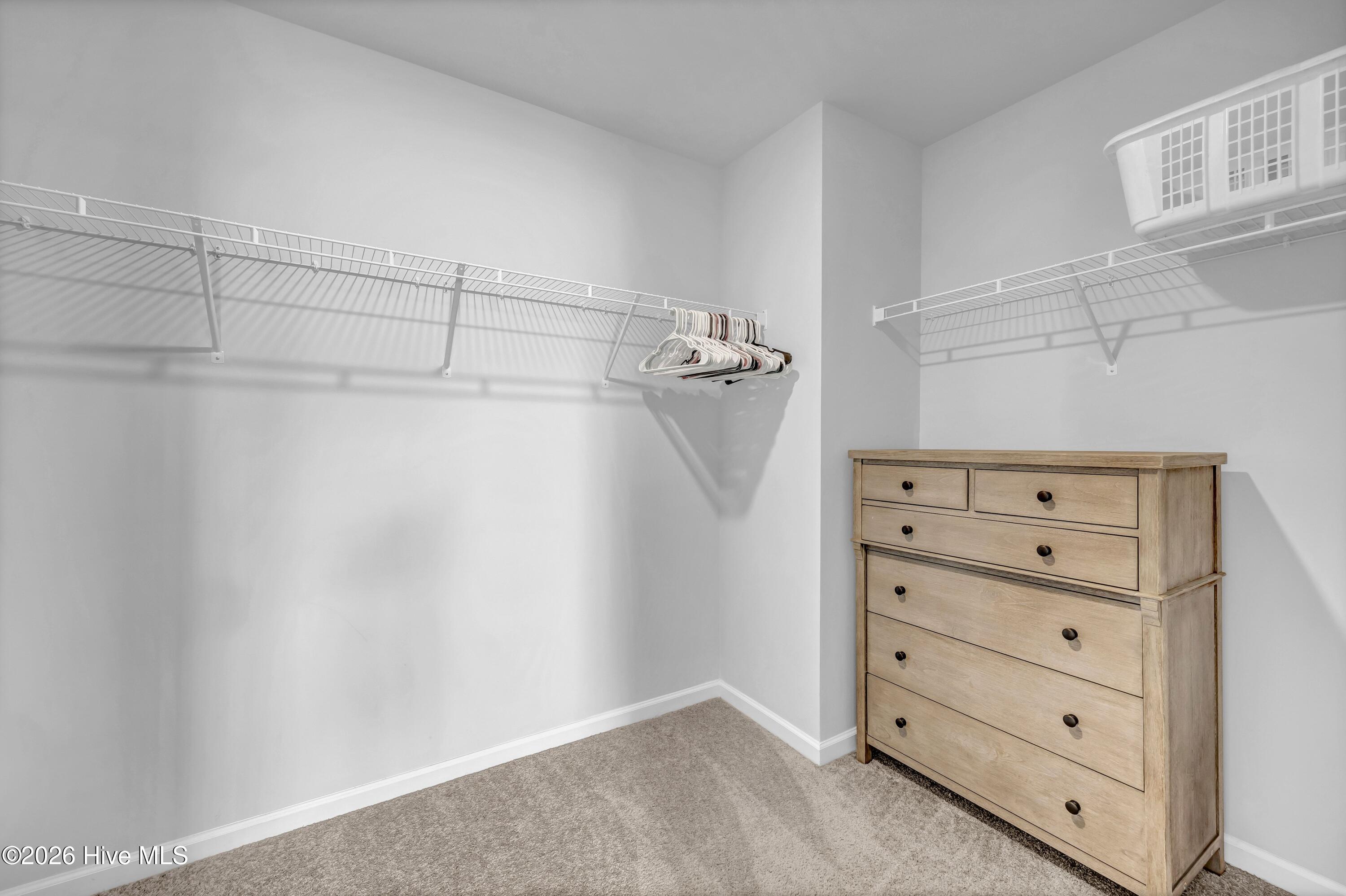 100570372 | Photo 18