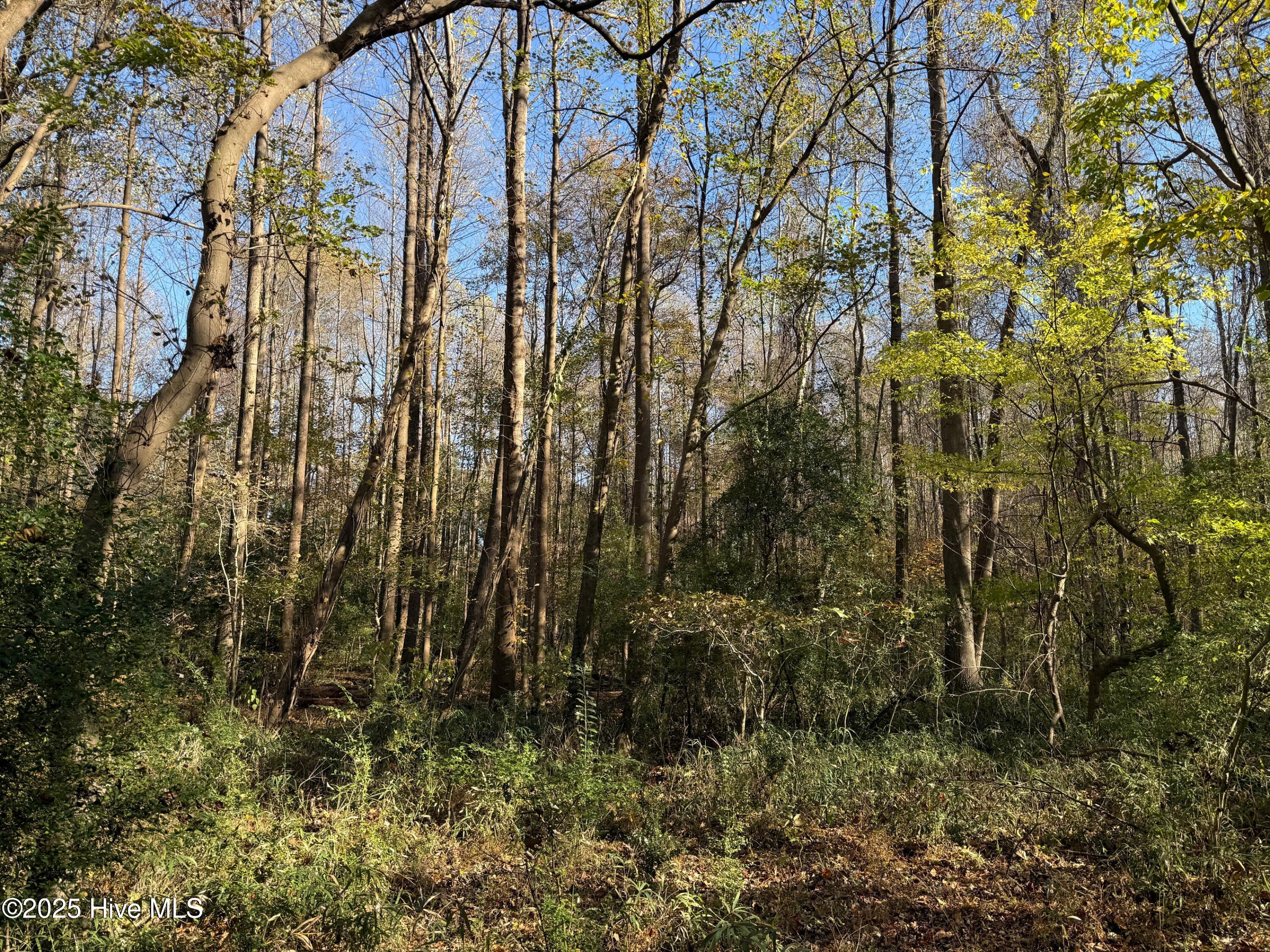 Homes for sale in Kinston, NC | Lot 1 Alton Phillips Rd, Kinston, NC 28504 | MLS# 100541444