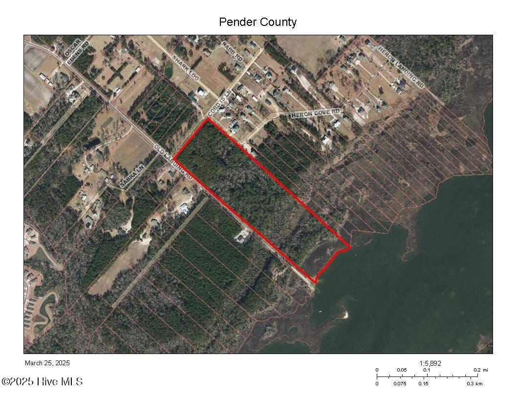 100496968 | Photo 12