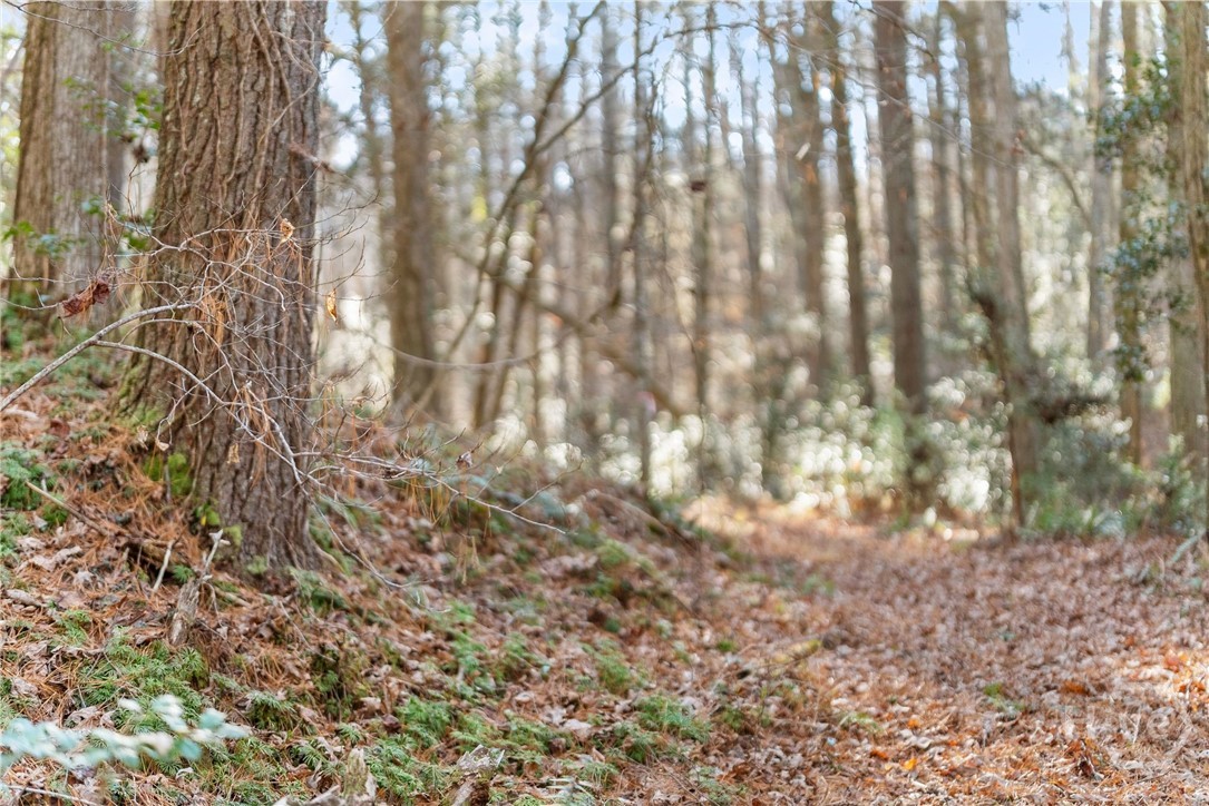 Shoal Creek Tract Habersham County