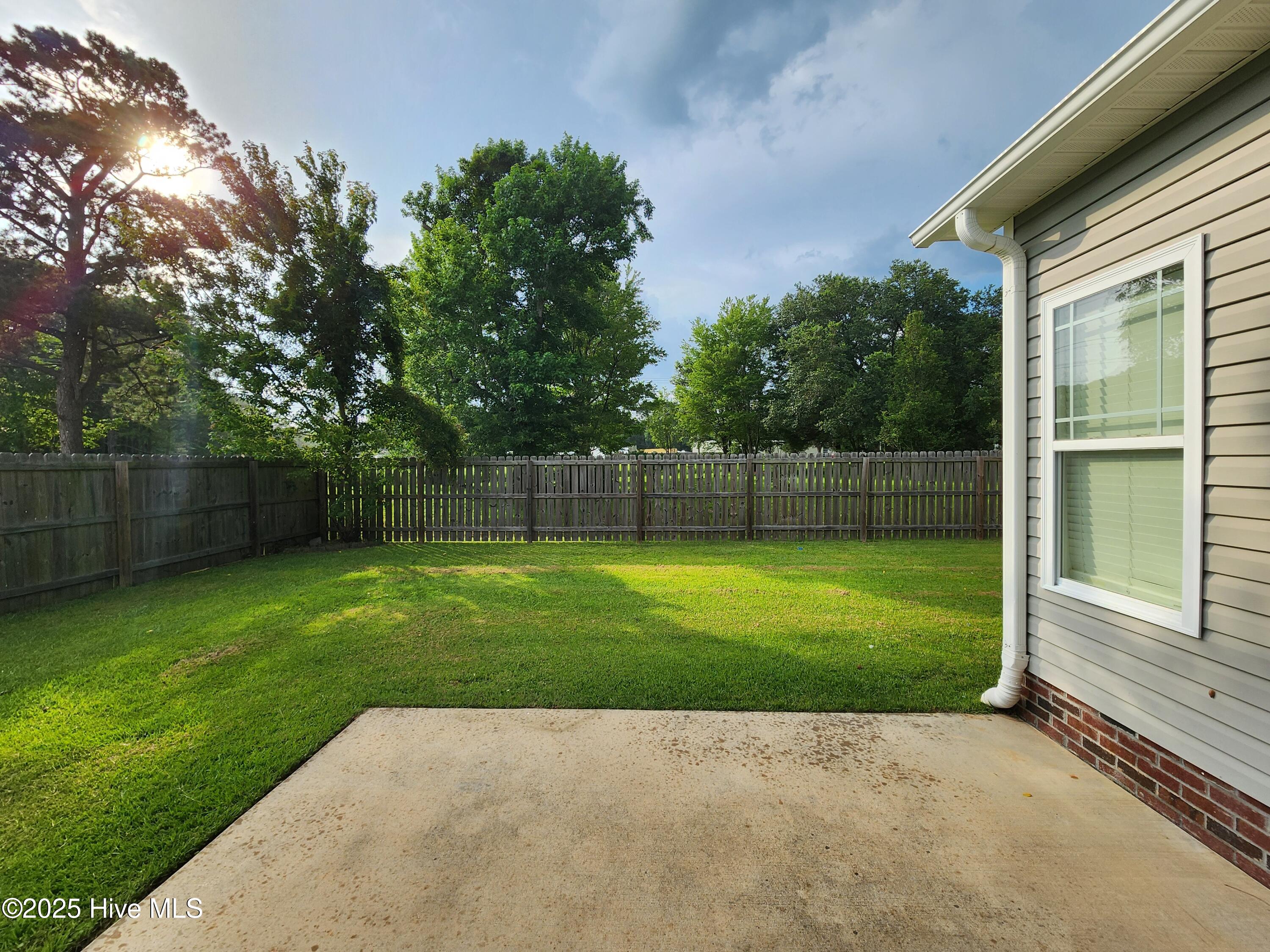 100569156 | Photo 46