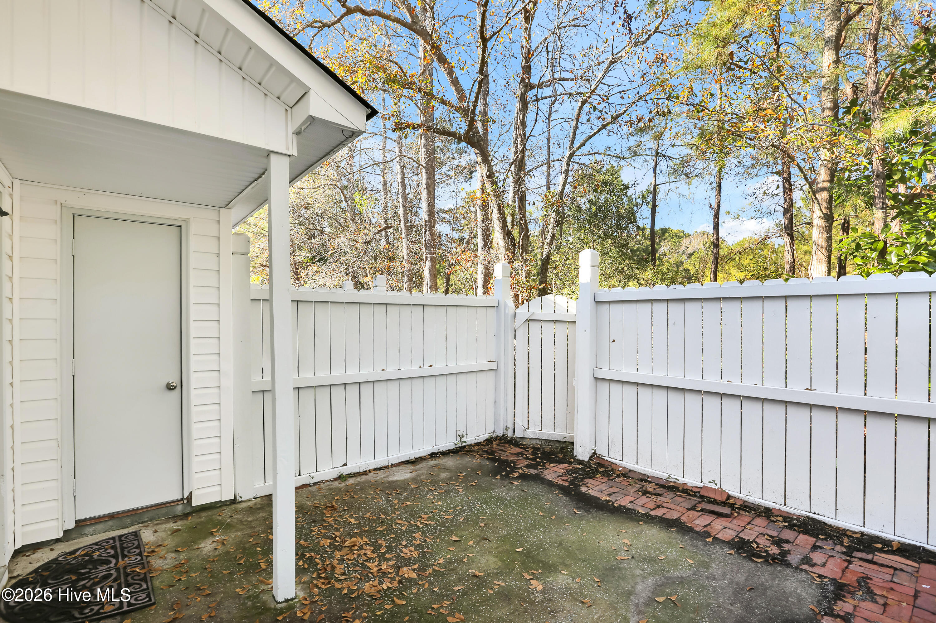 100551471 | Photo 26