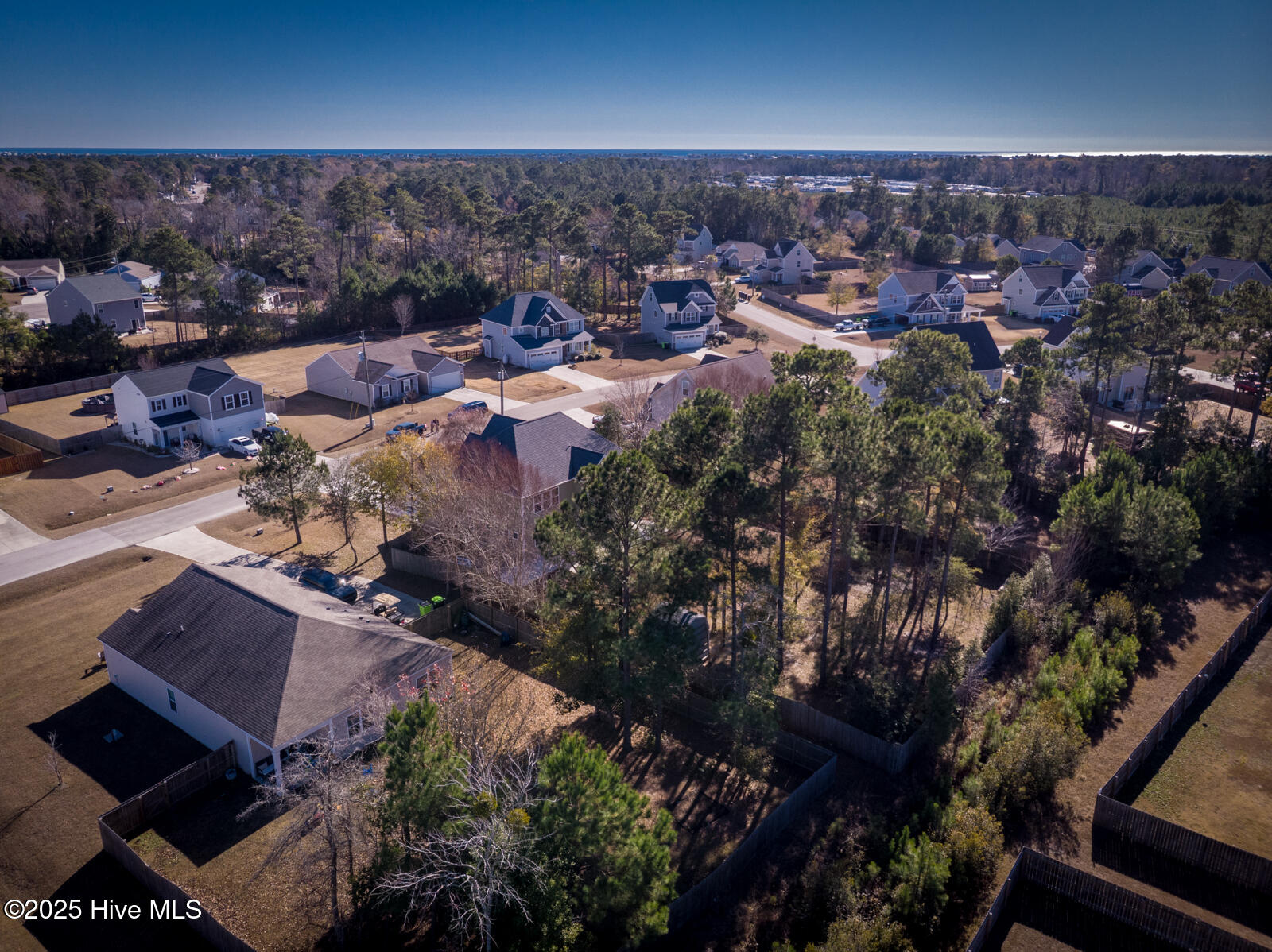 100546251 | Photo 59