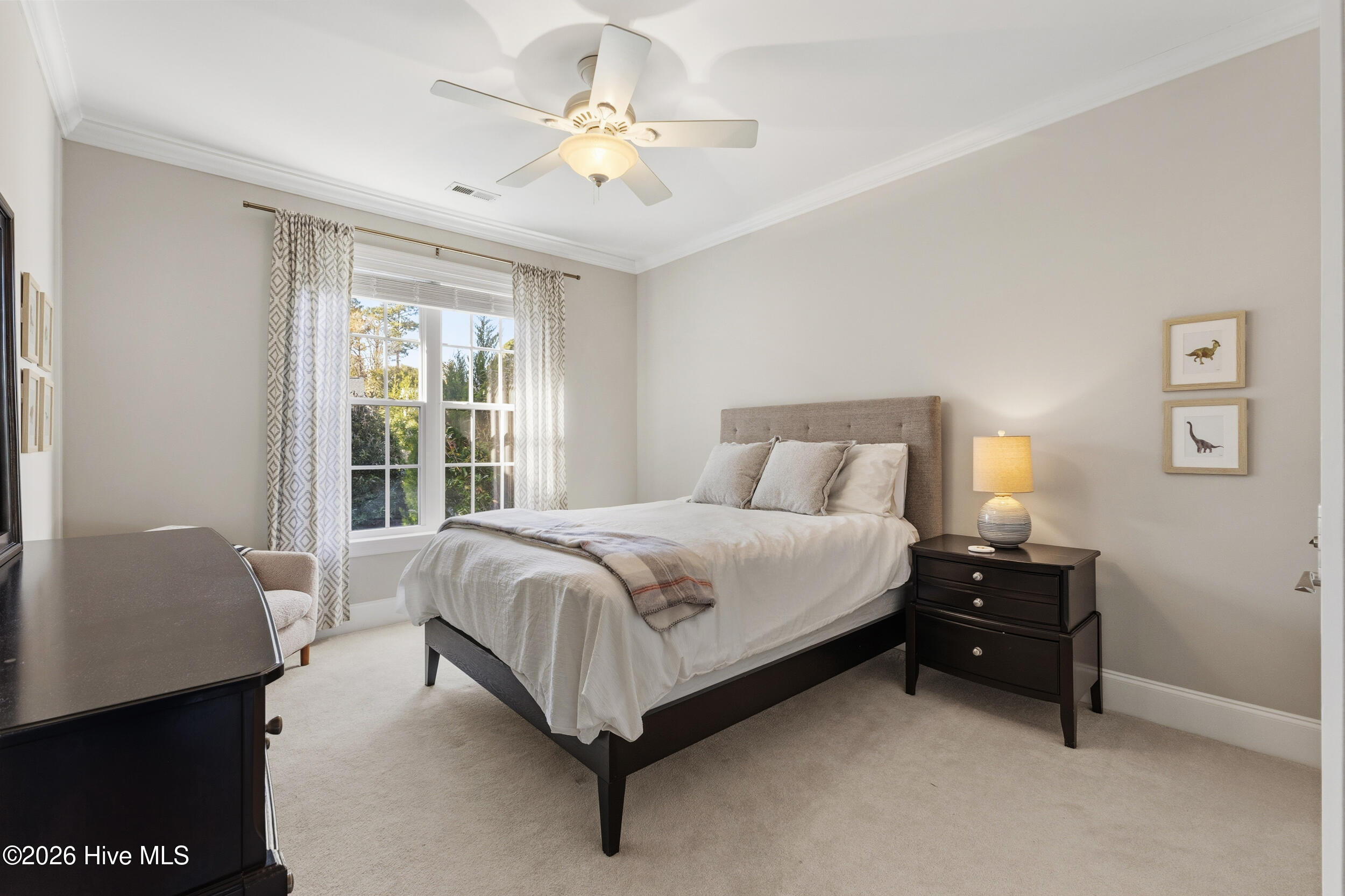 100558582 | Photo 27