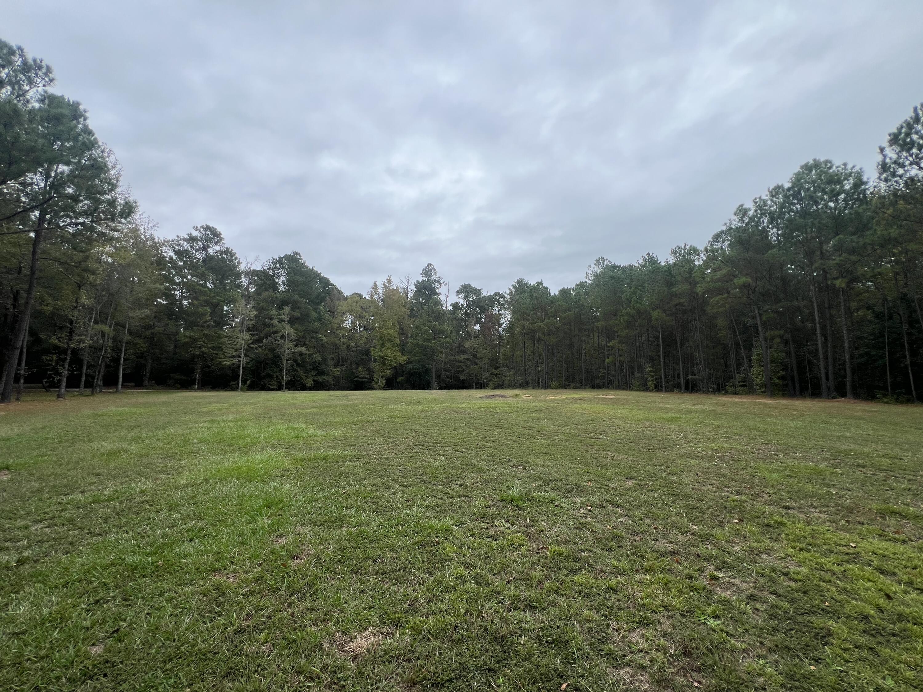 3256 Ray Owens Road, Appling, GA 30802 Listing Photo  1