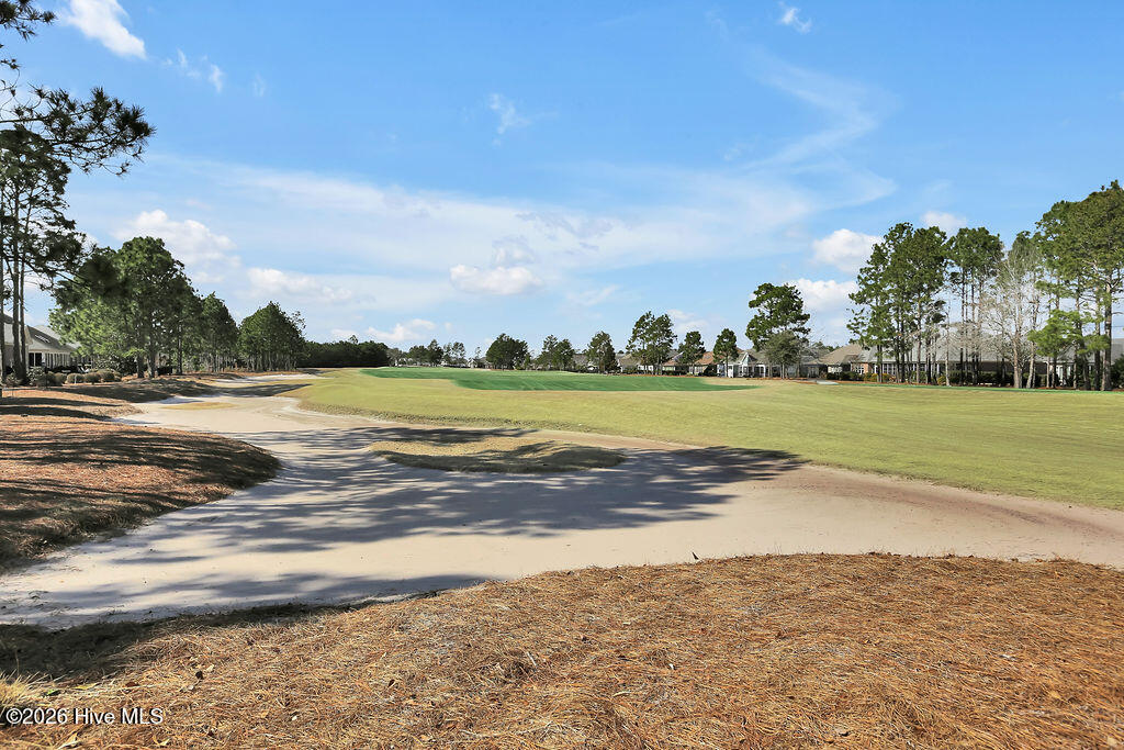 100554017 | Photo 39