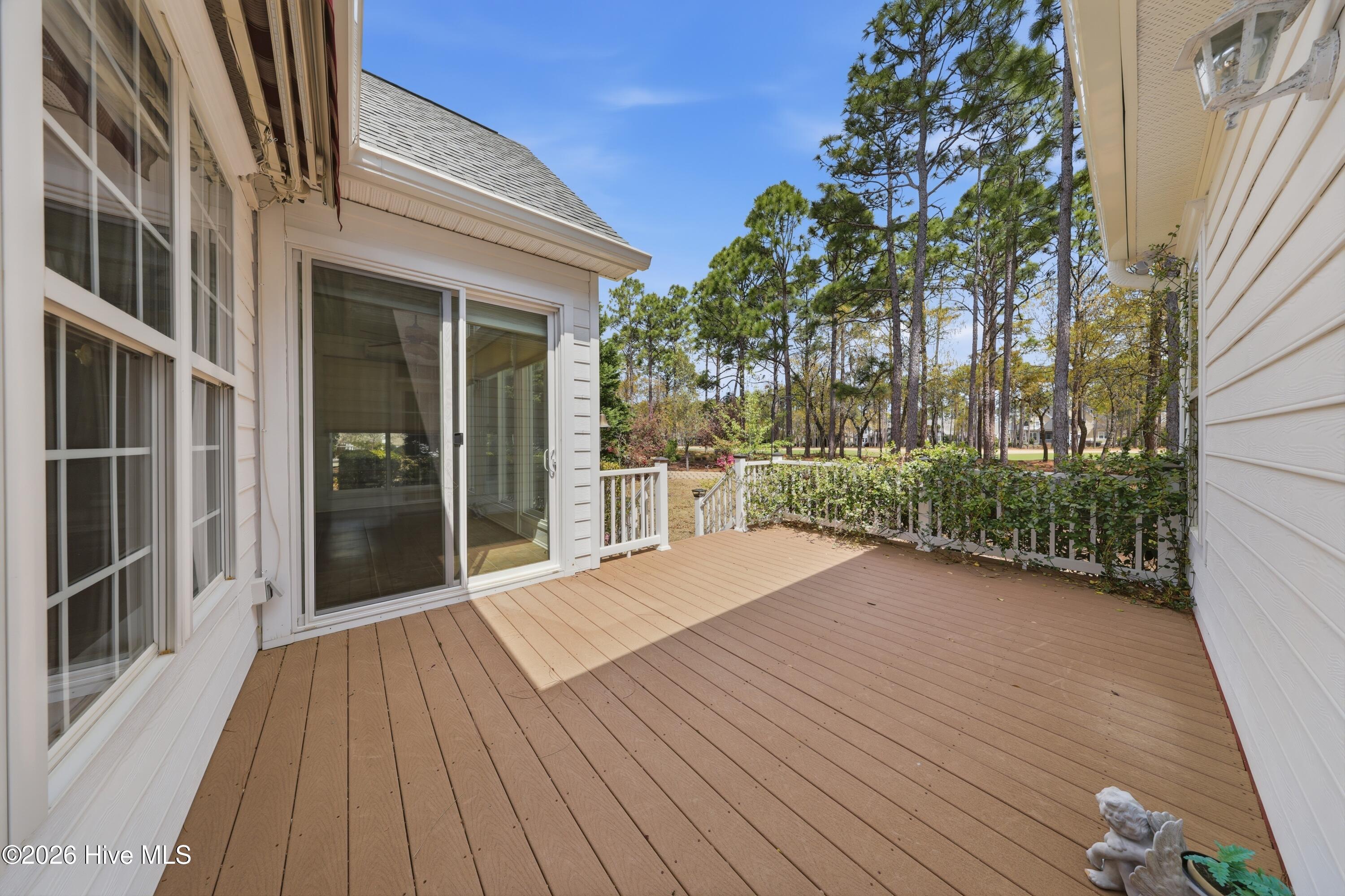 100564679 | Photo 13