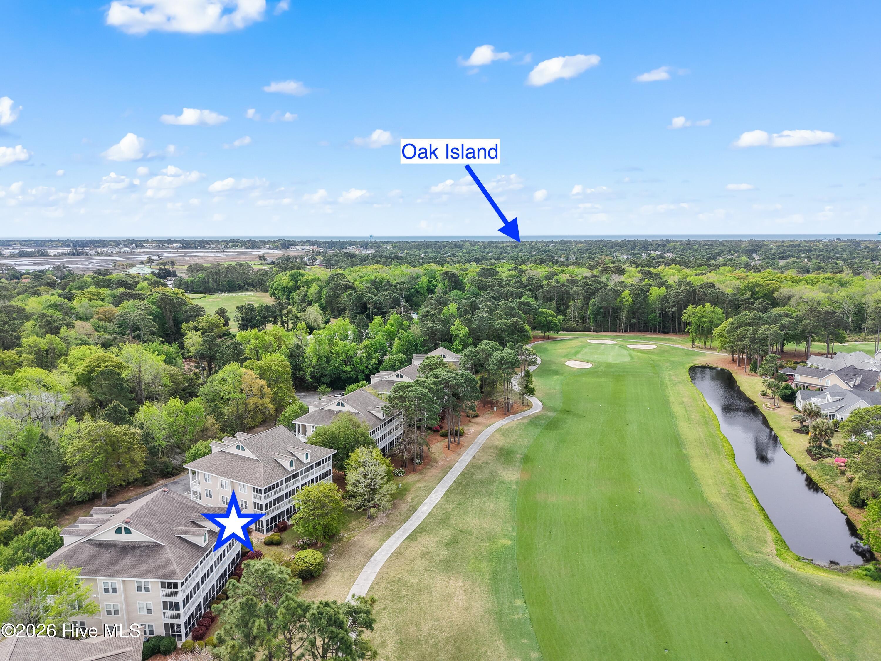 100565554 | Photo 40