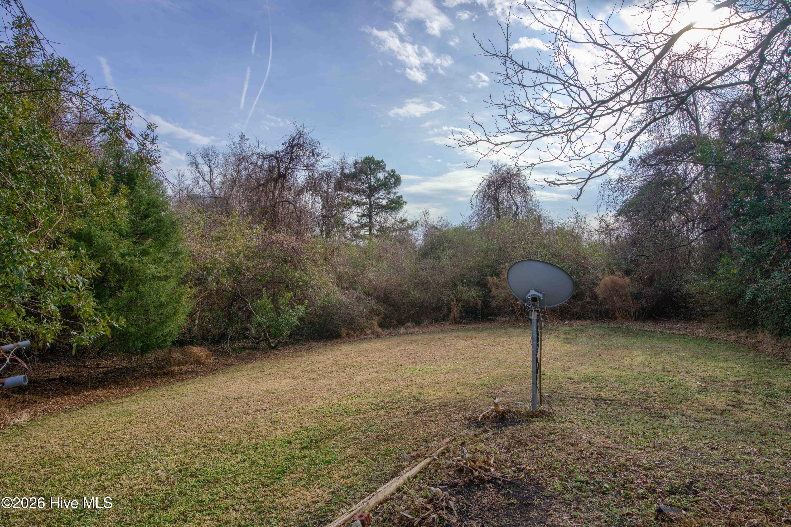 100556576 | Photo 15