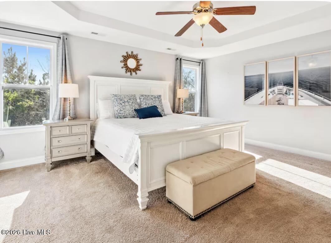 100567439 | Photo 14