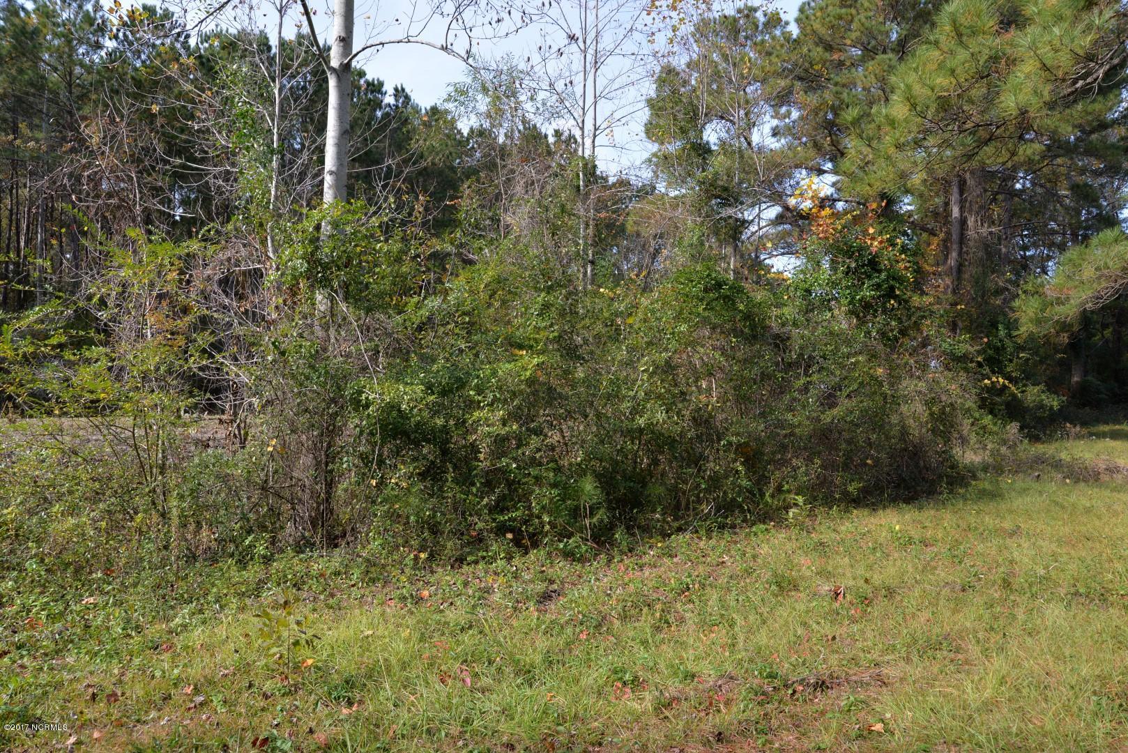 100492321 | Photo 12