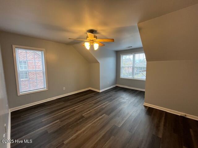 100532569 | Photo 23