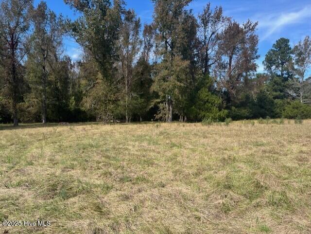 100523696 | Photo 15