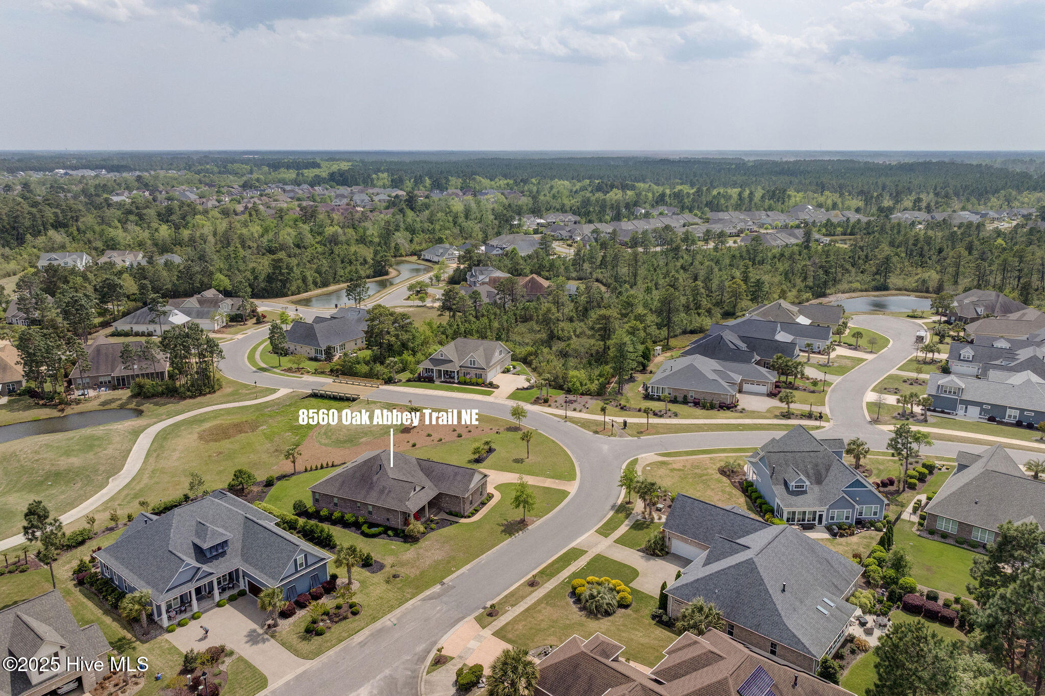 100549436 | Photo 52