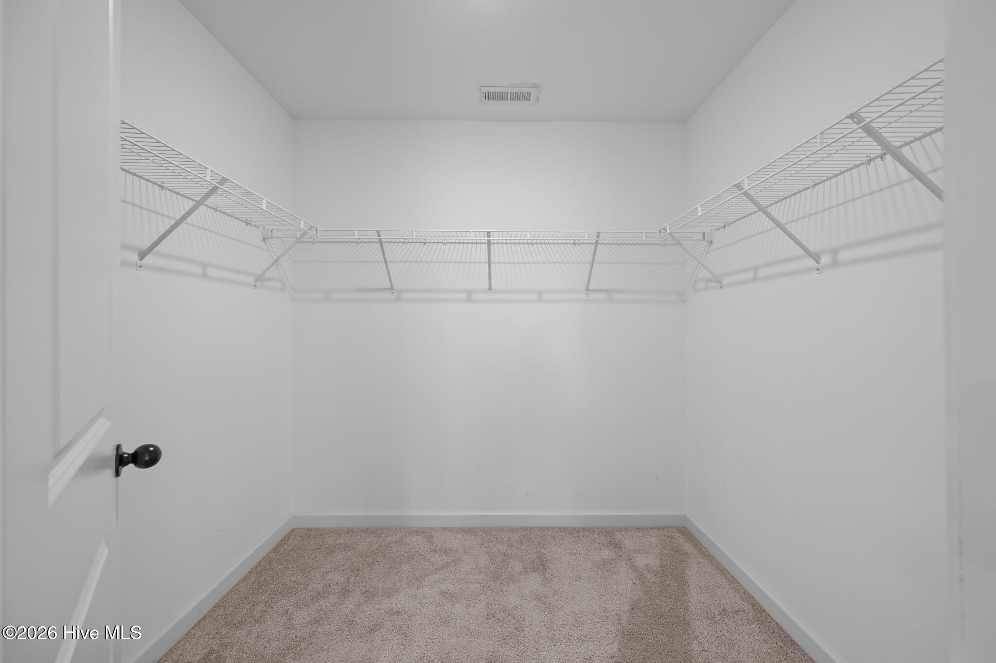 100567362 | Photo 15