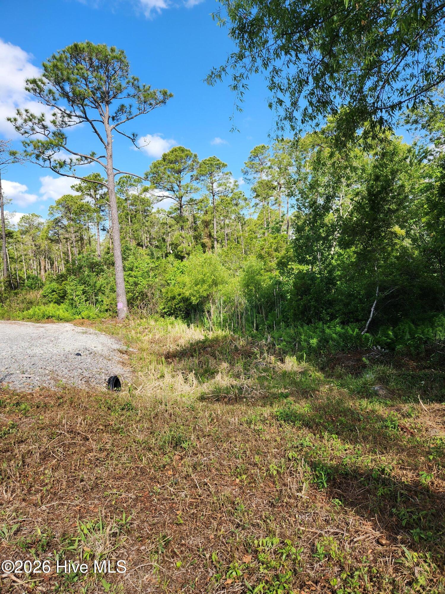 Shirley Johnson - MLS Number: 100479507