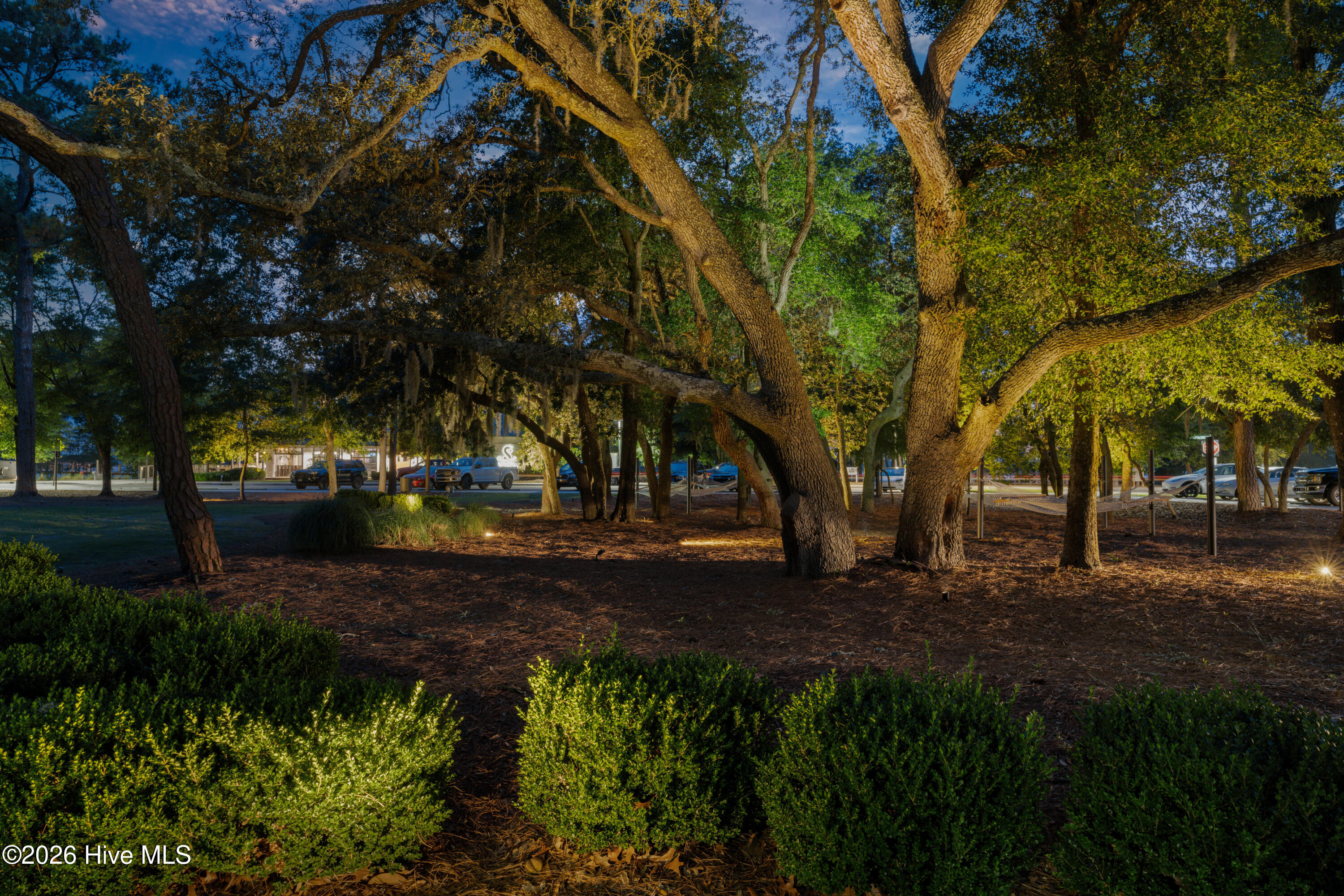 100587110 | Photo 135
