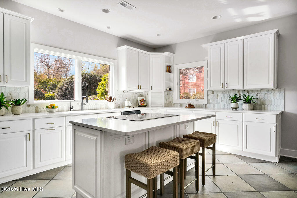 100565103 | Photo 26