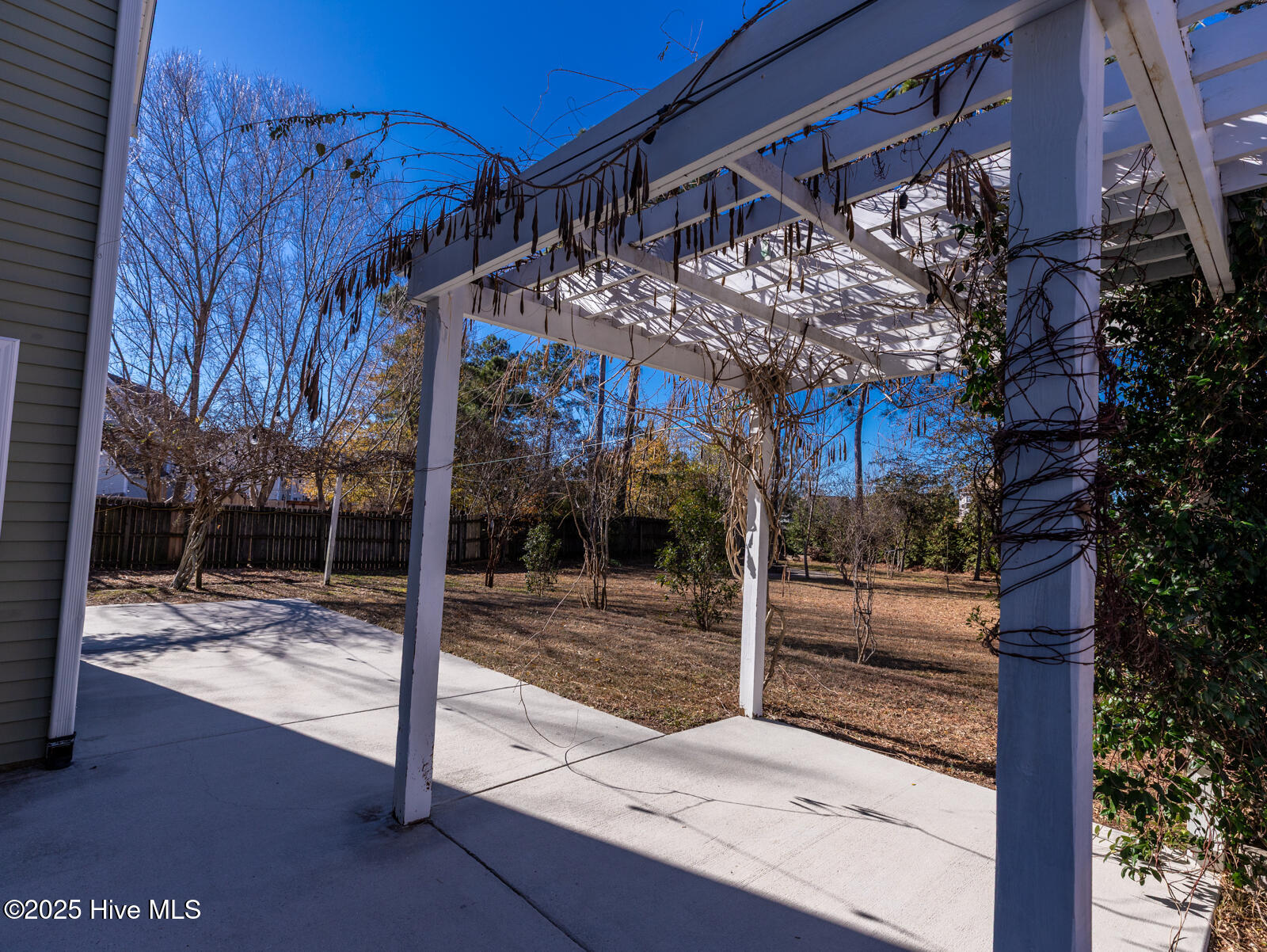 100546251 | Photo 42