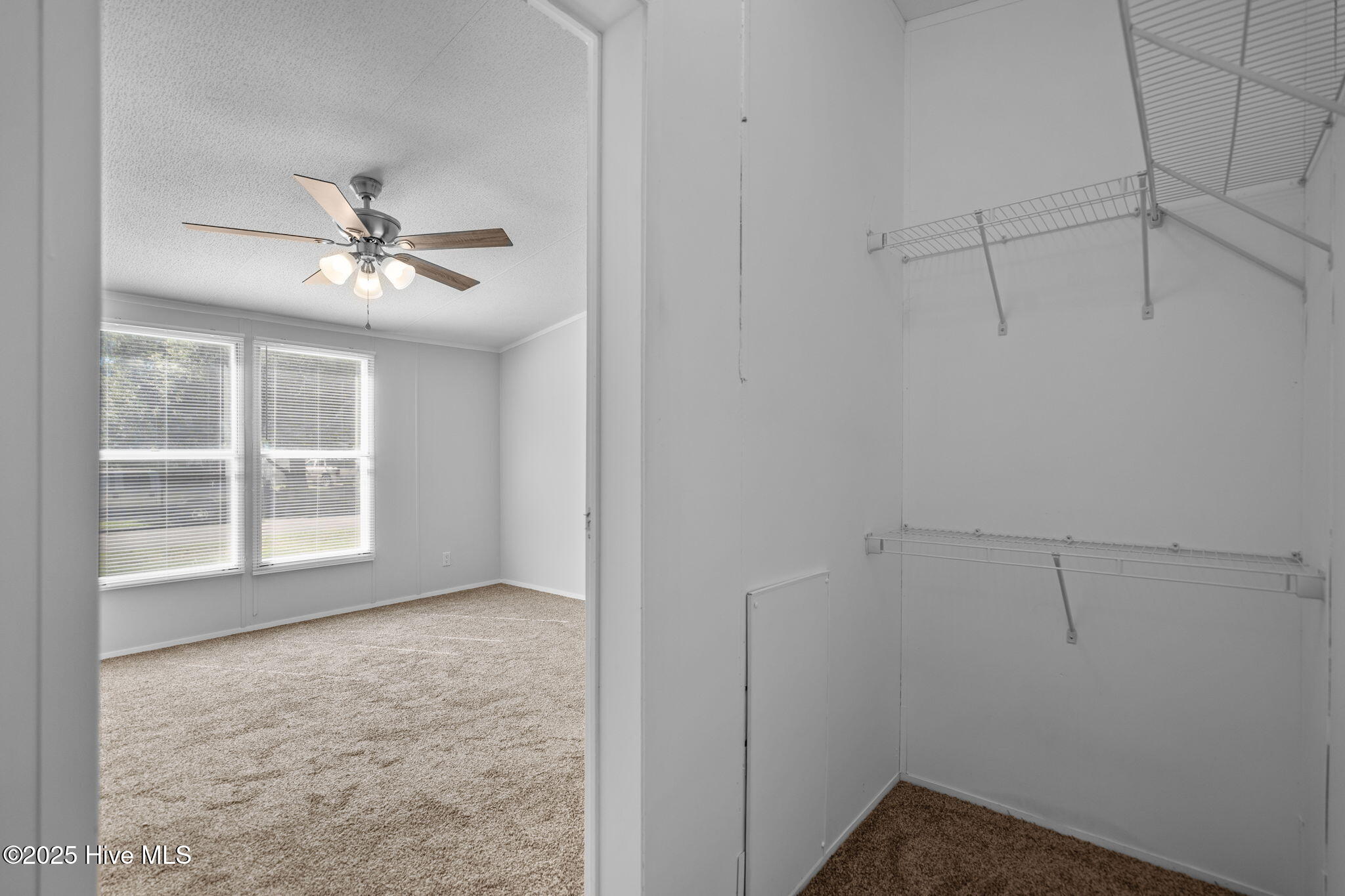 100536867 | Photo 26