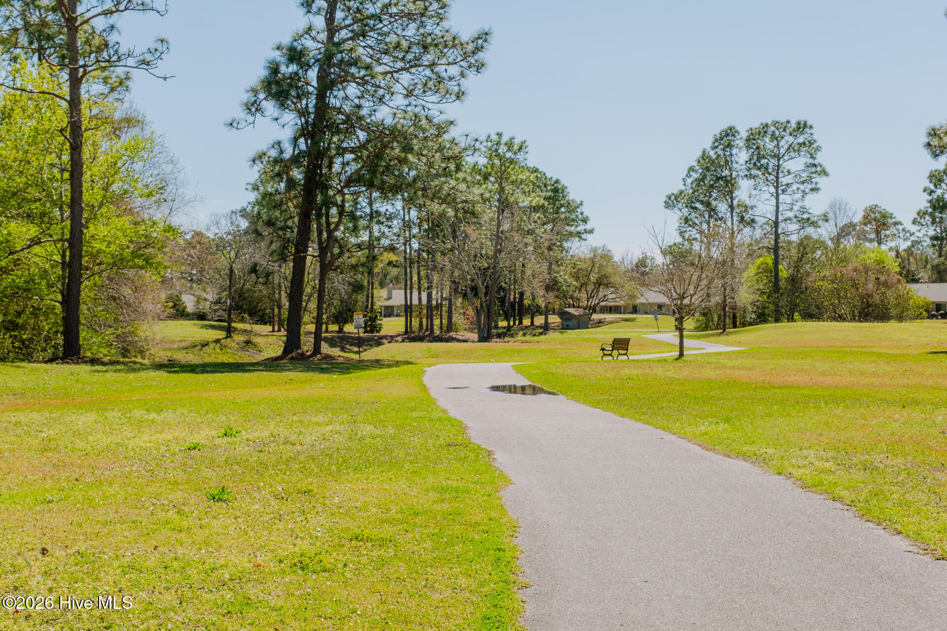 100560889 | Photo 67