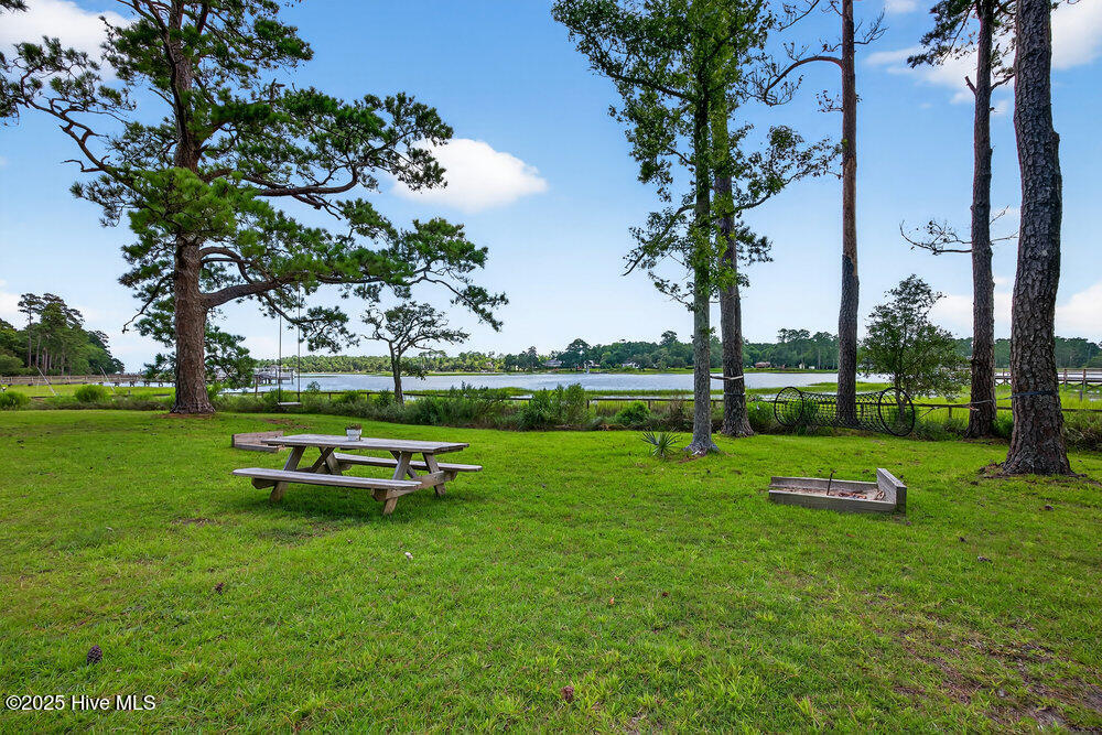 100562548 | Photo 35