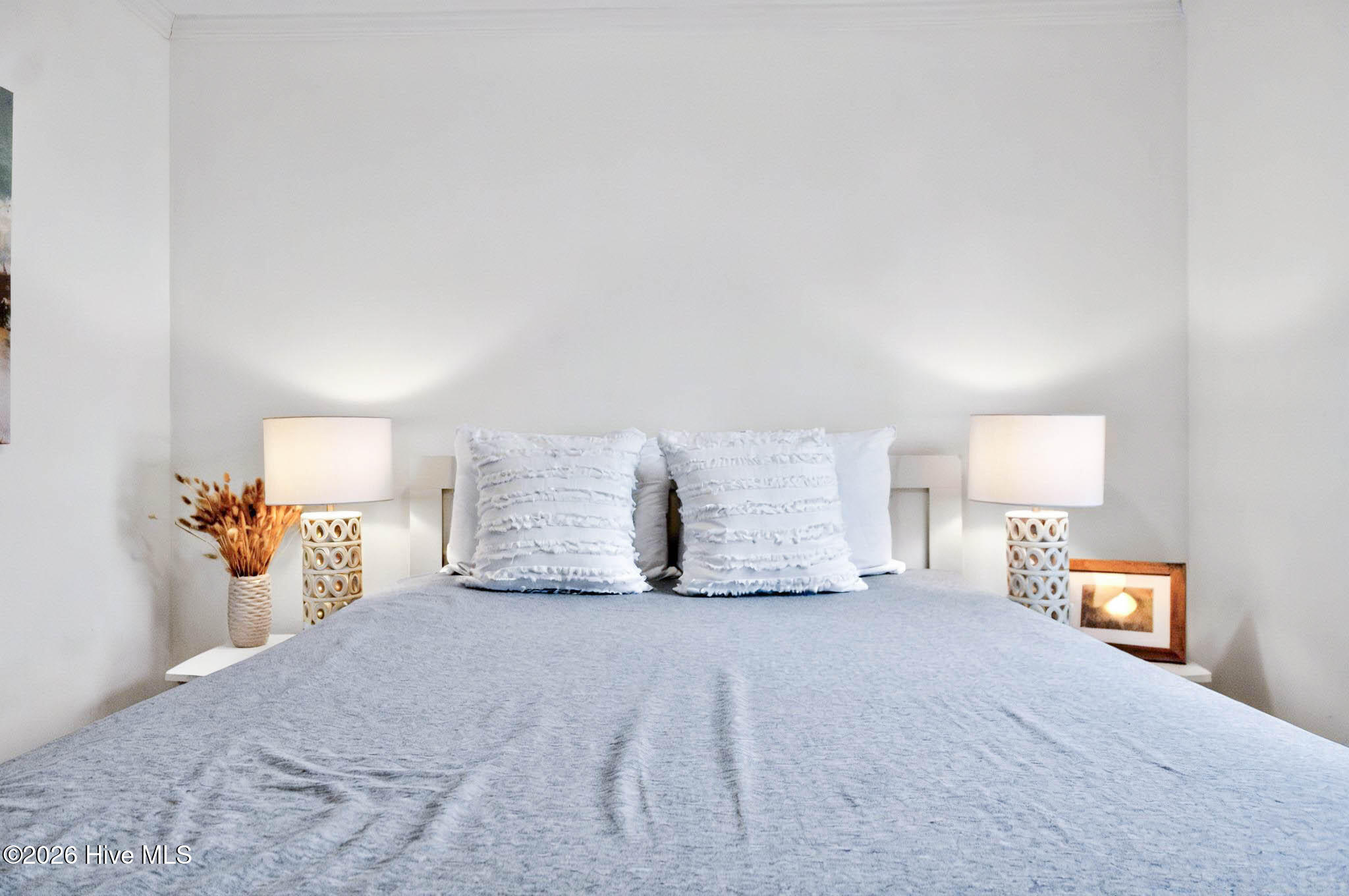 100556049 | Photo 47