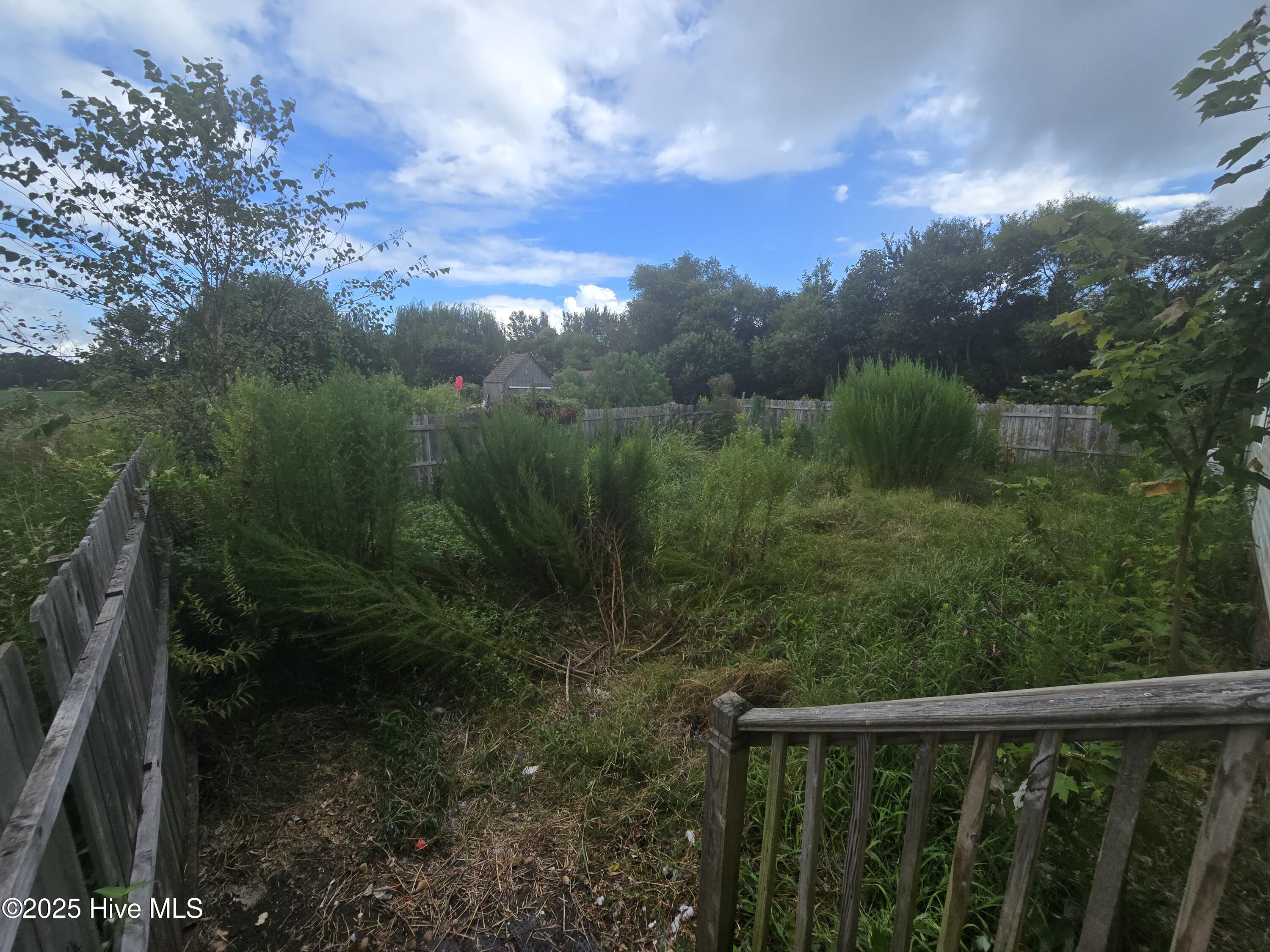 Fenced in Bak yard Area