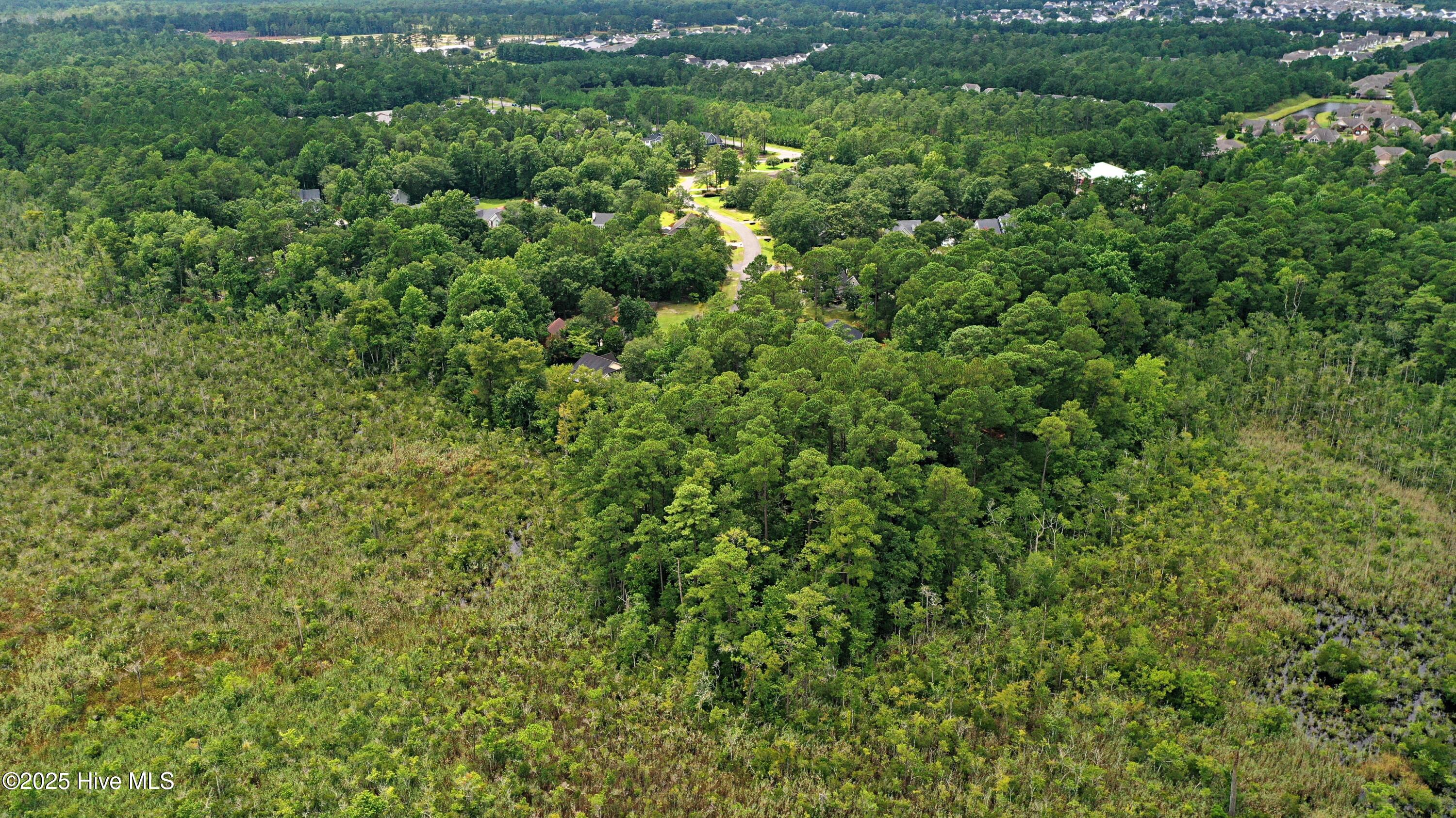 100521403 | Photo 12