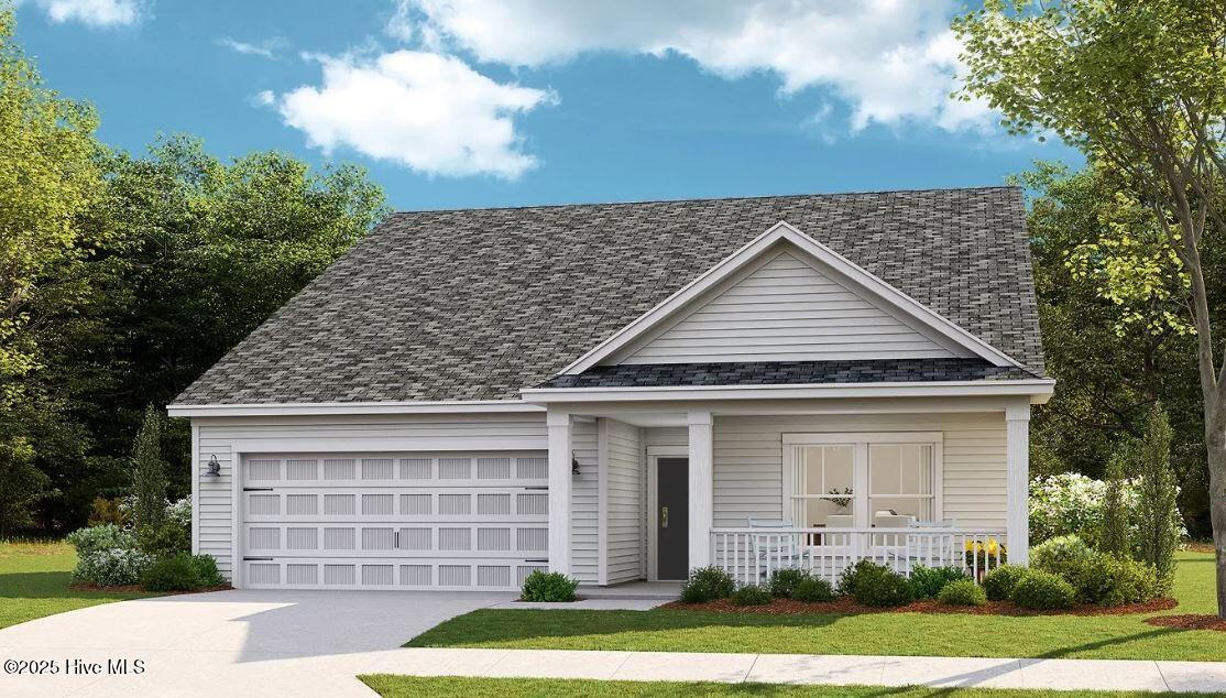 100551512 | Photo 11