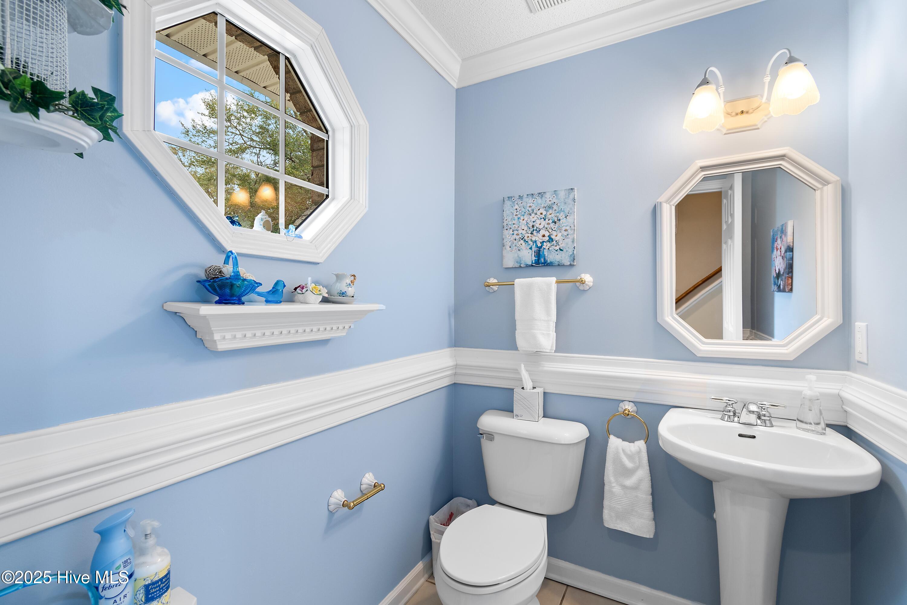 100556146 | Photo 27