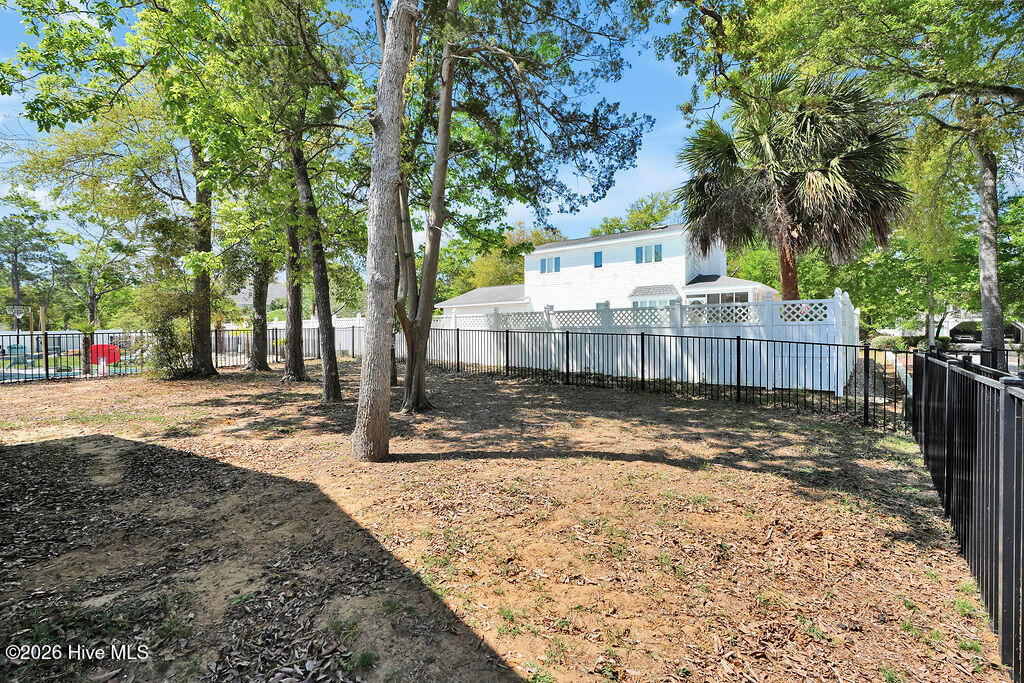 100568097 | Photo 33